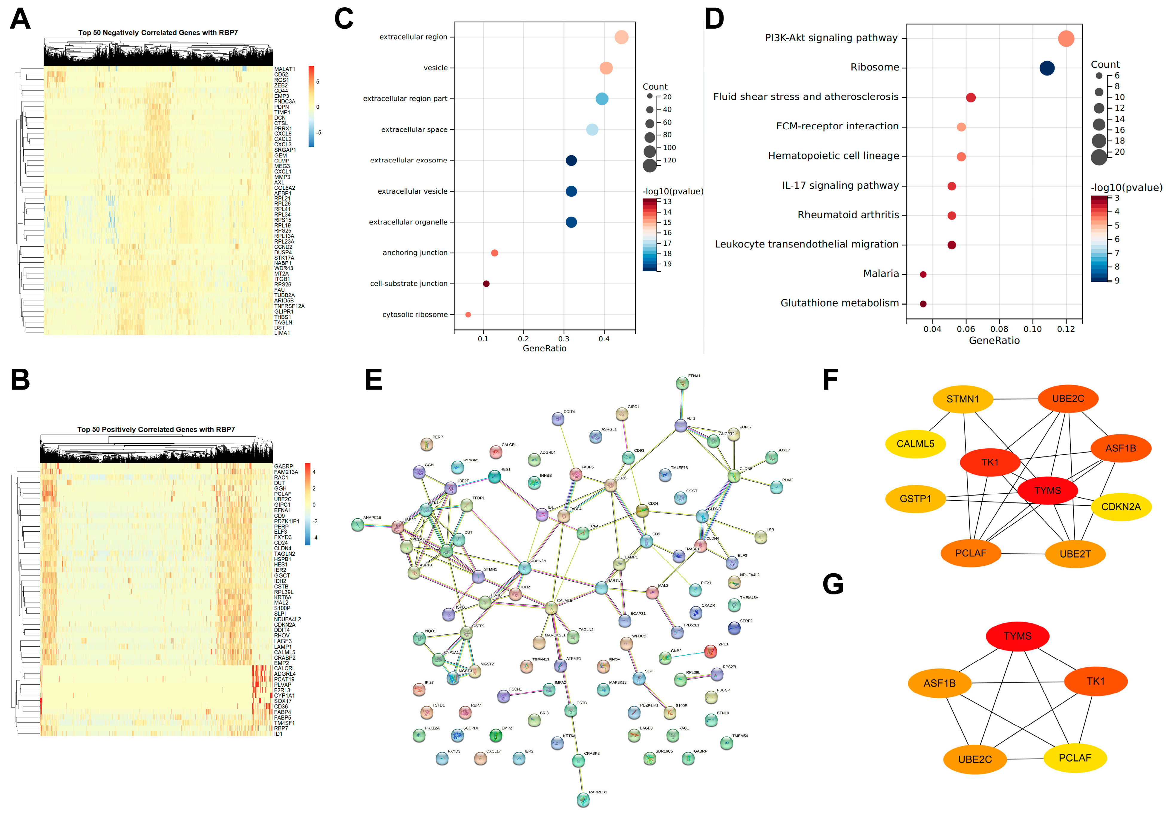 Cancers 17 03706 g006