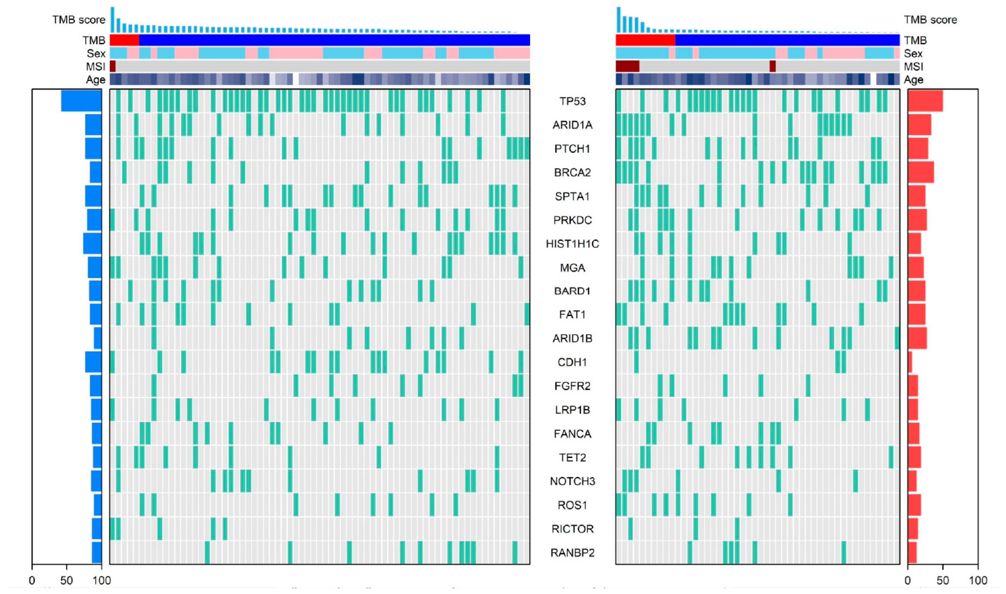 Cancers 17 03716 g004 Cancers 17 03716 g004