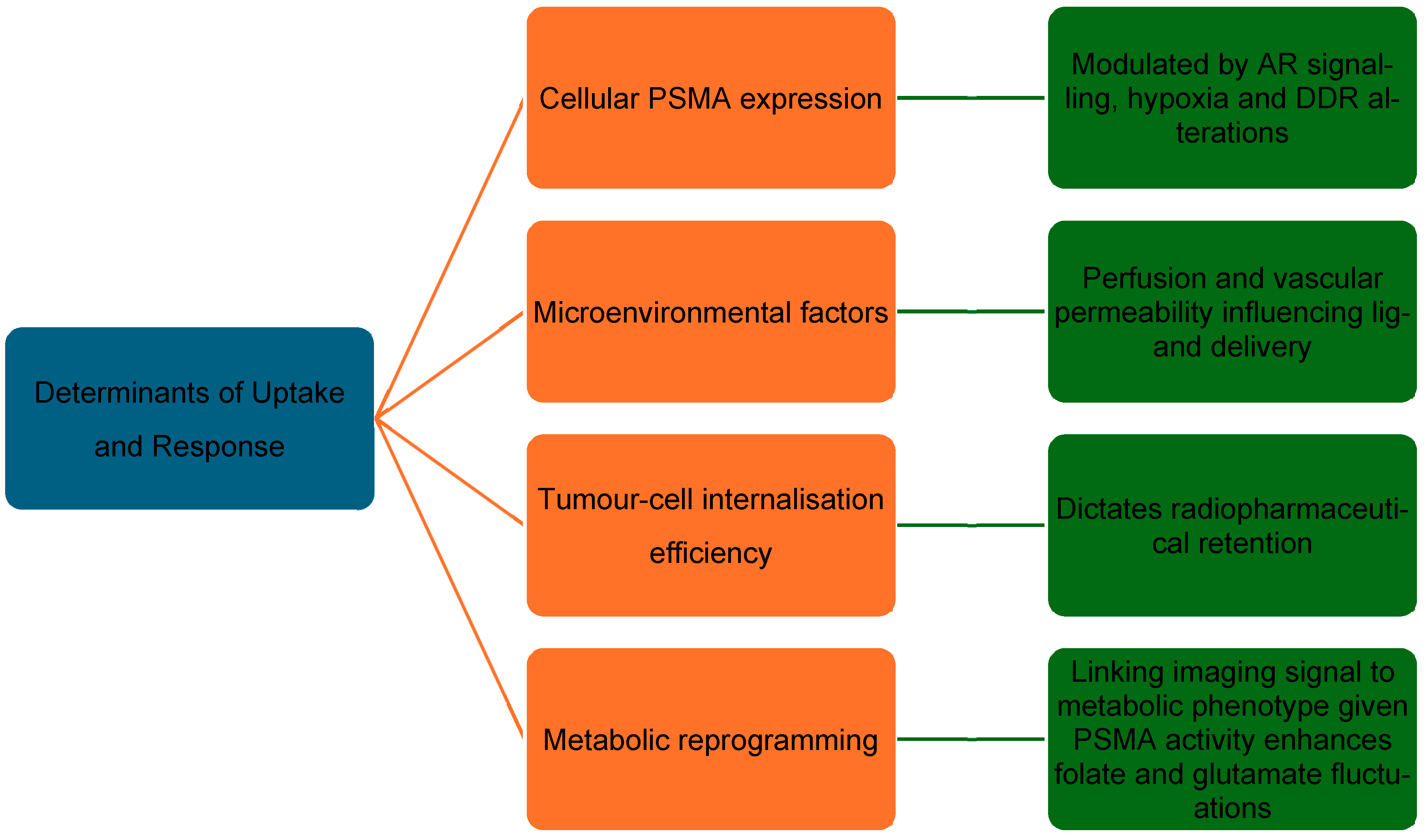 Cancers 17 03717 g001
