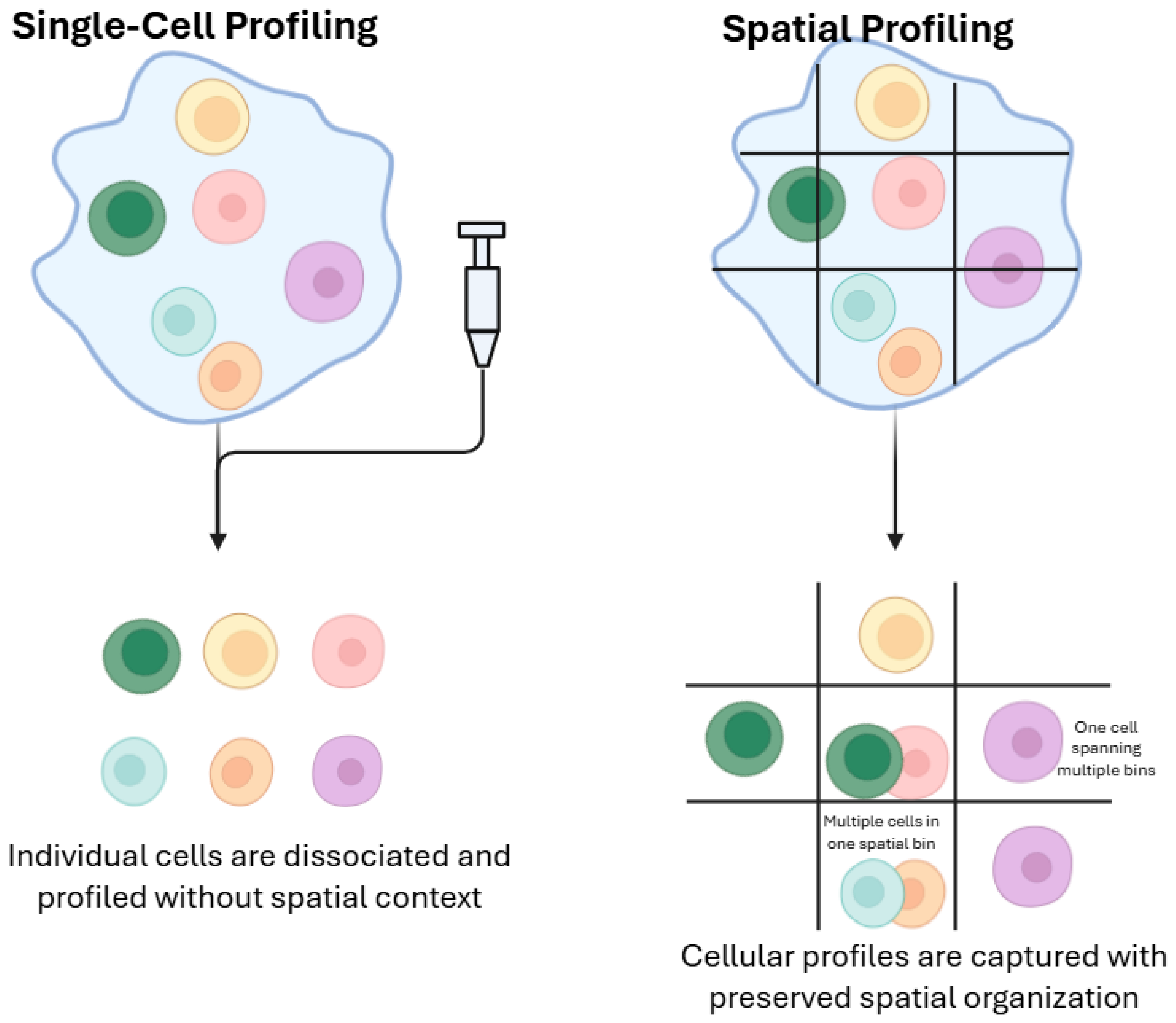 Cancers 17 03720 g003