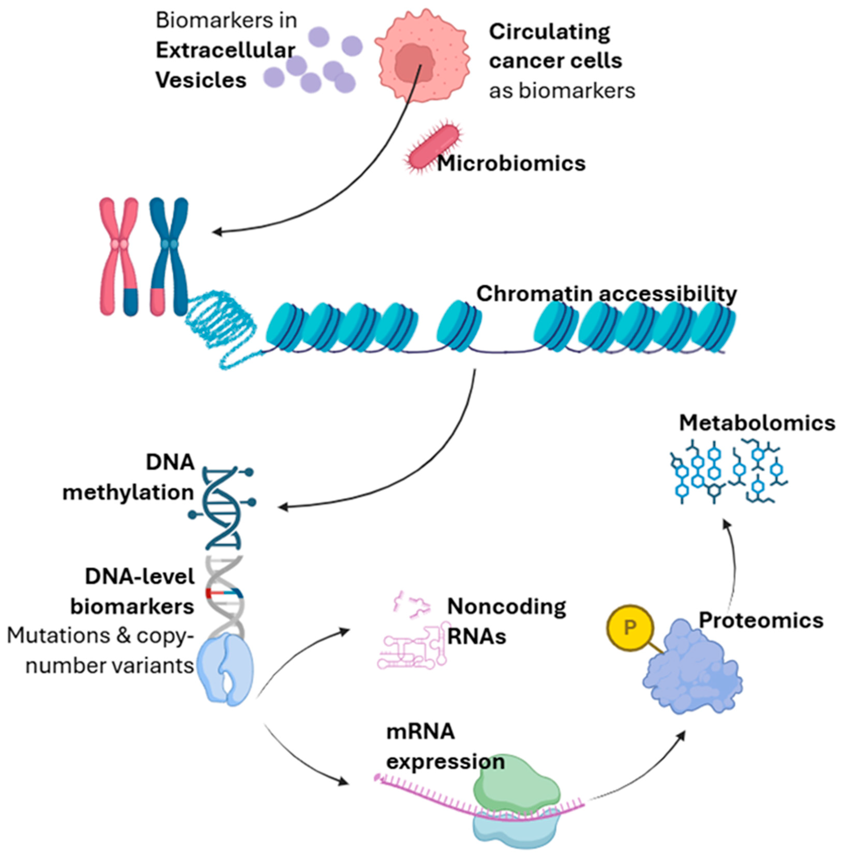 Cancers 17 03720 g004