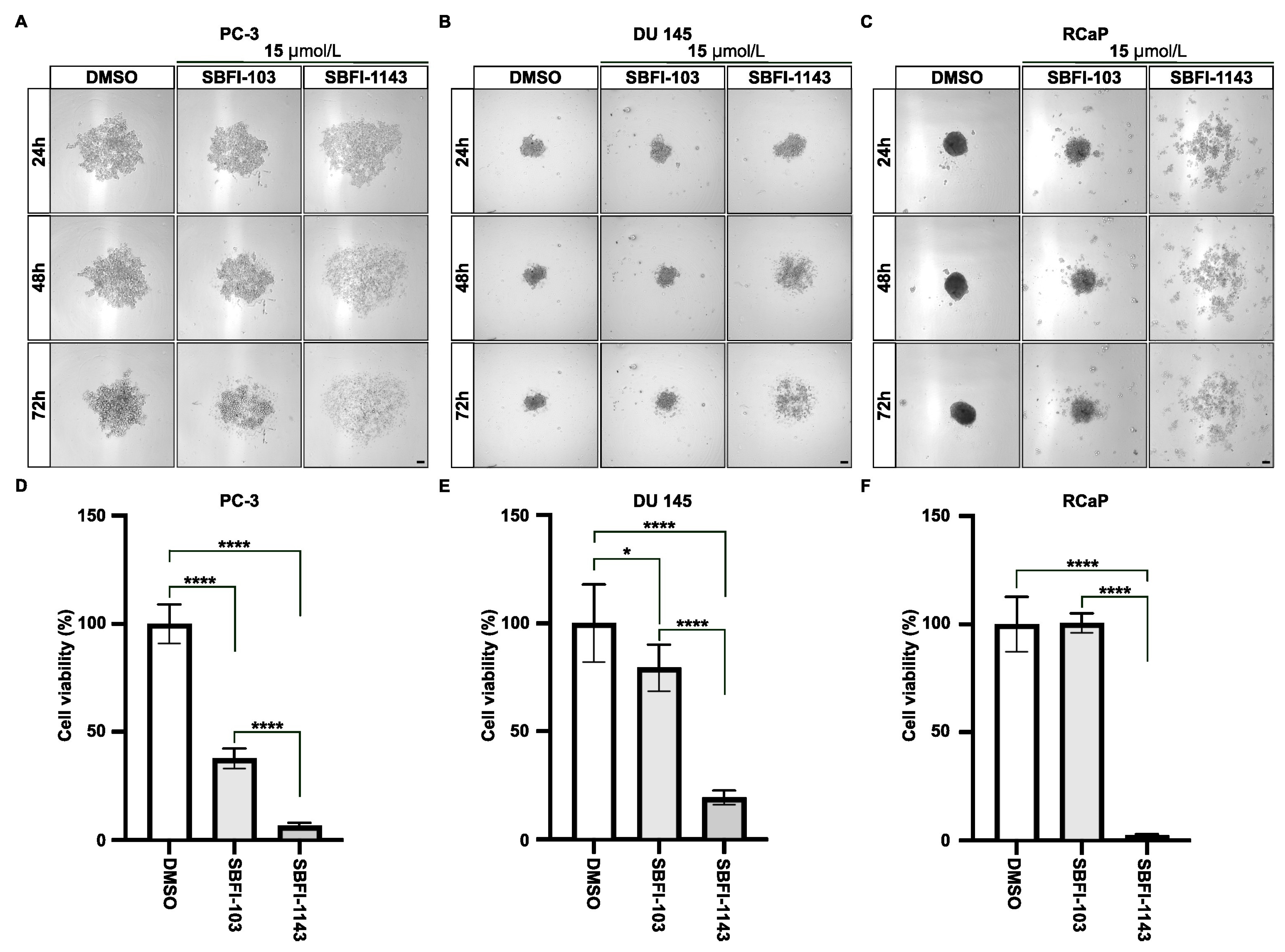Cancers 17 03723 g002