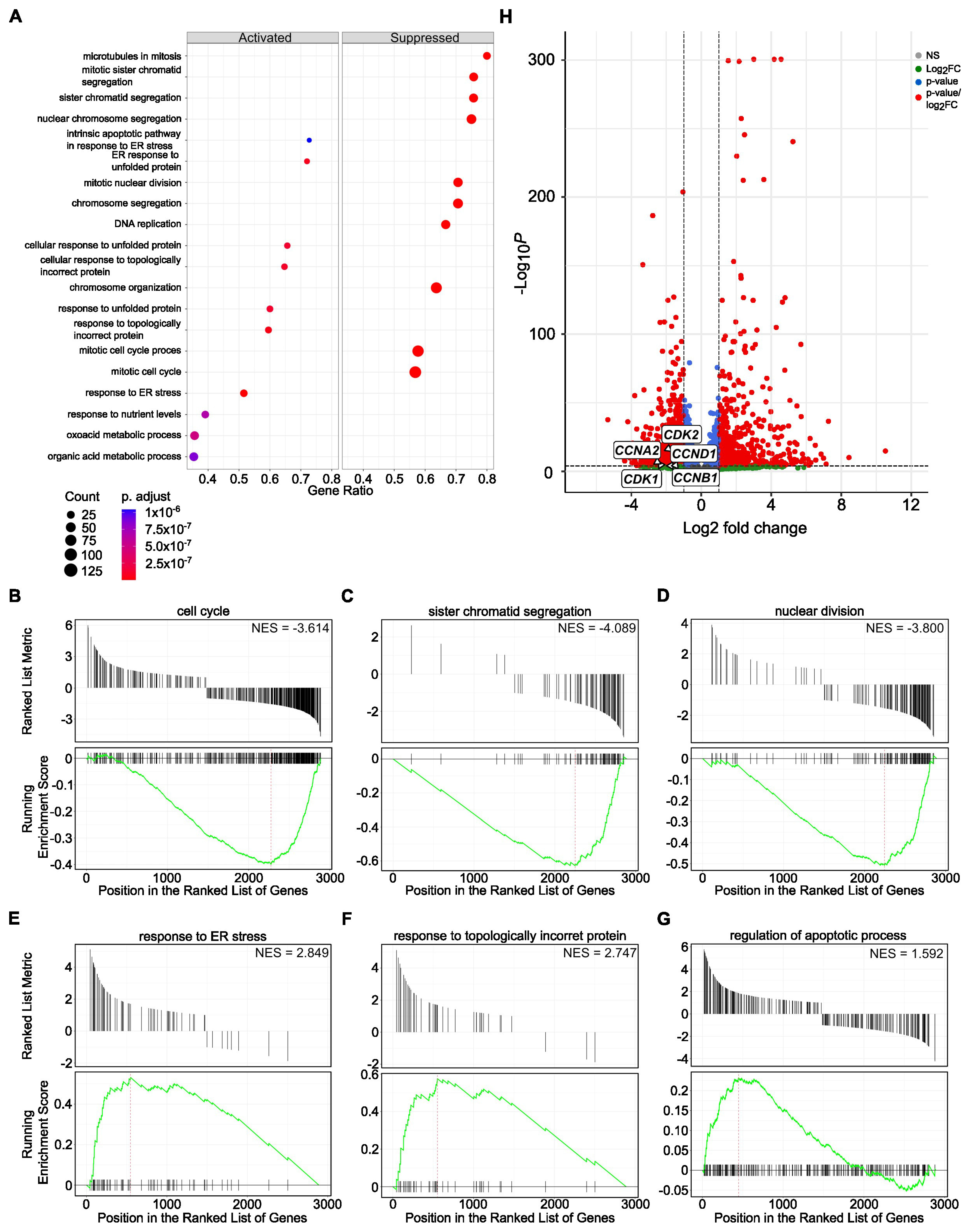 Cancers 17 03723 g003