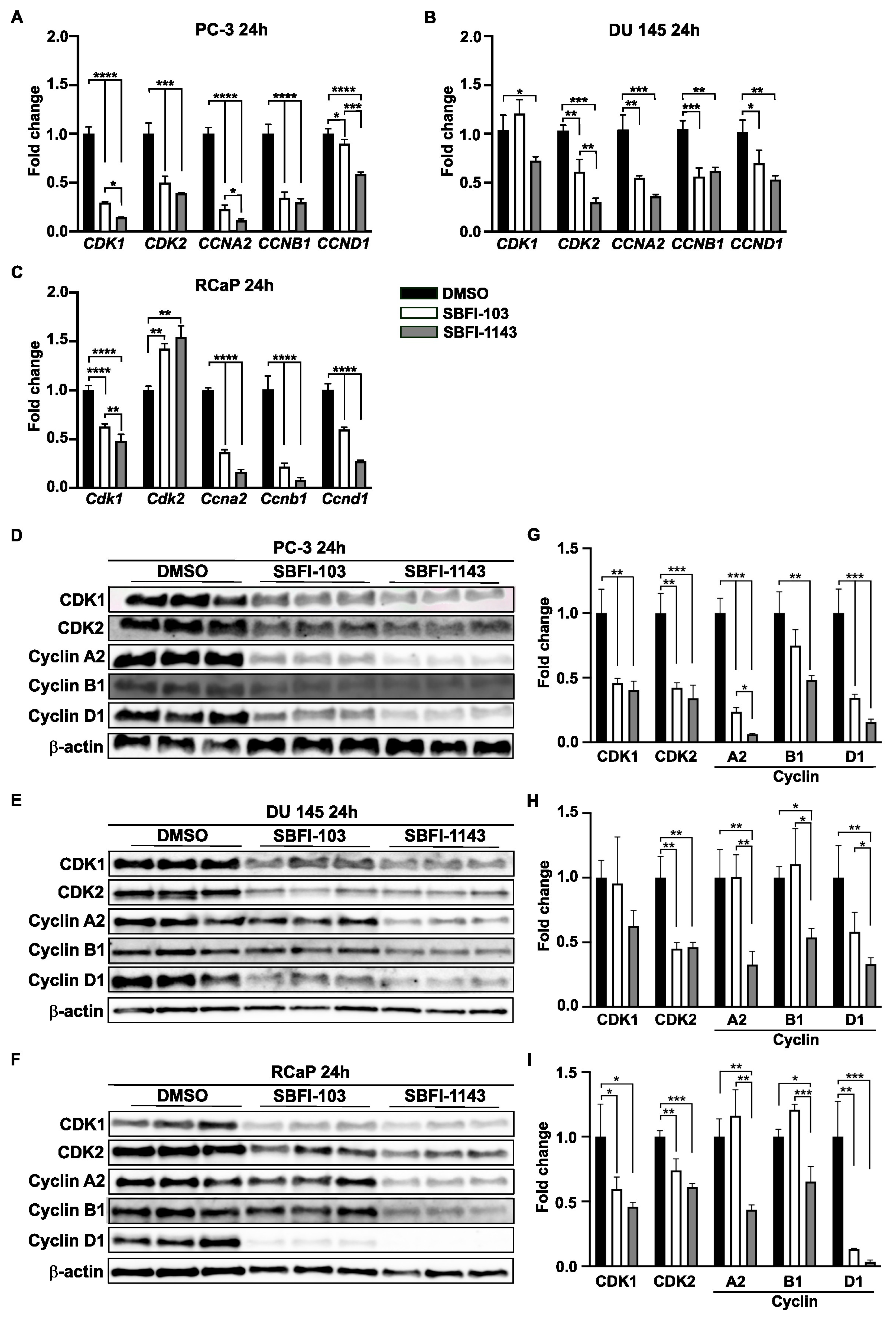 Cancers 17 03723 g004