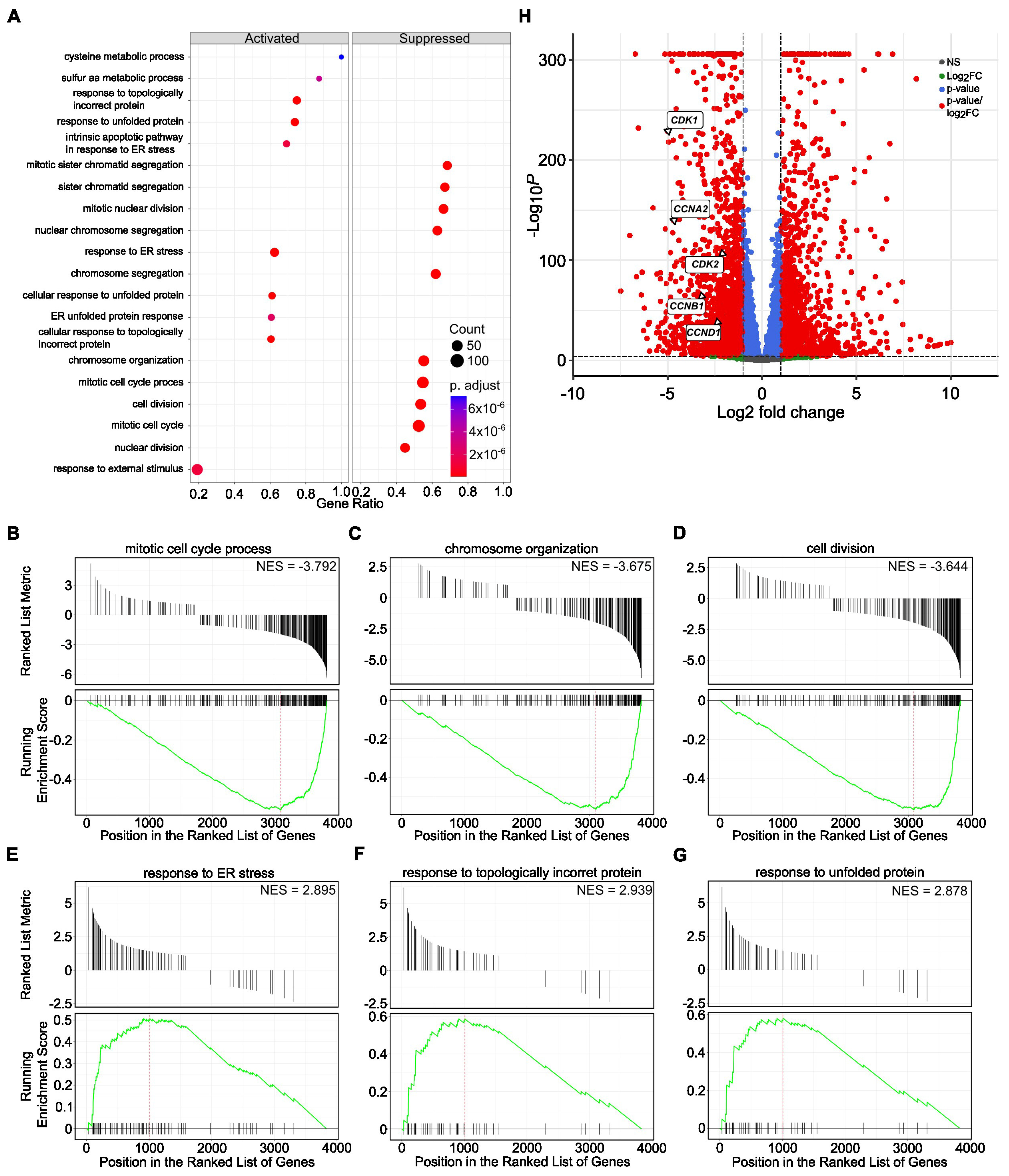 Cancers 17 03723 g005