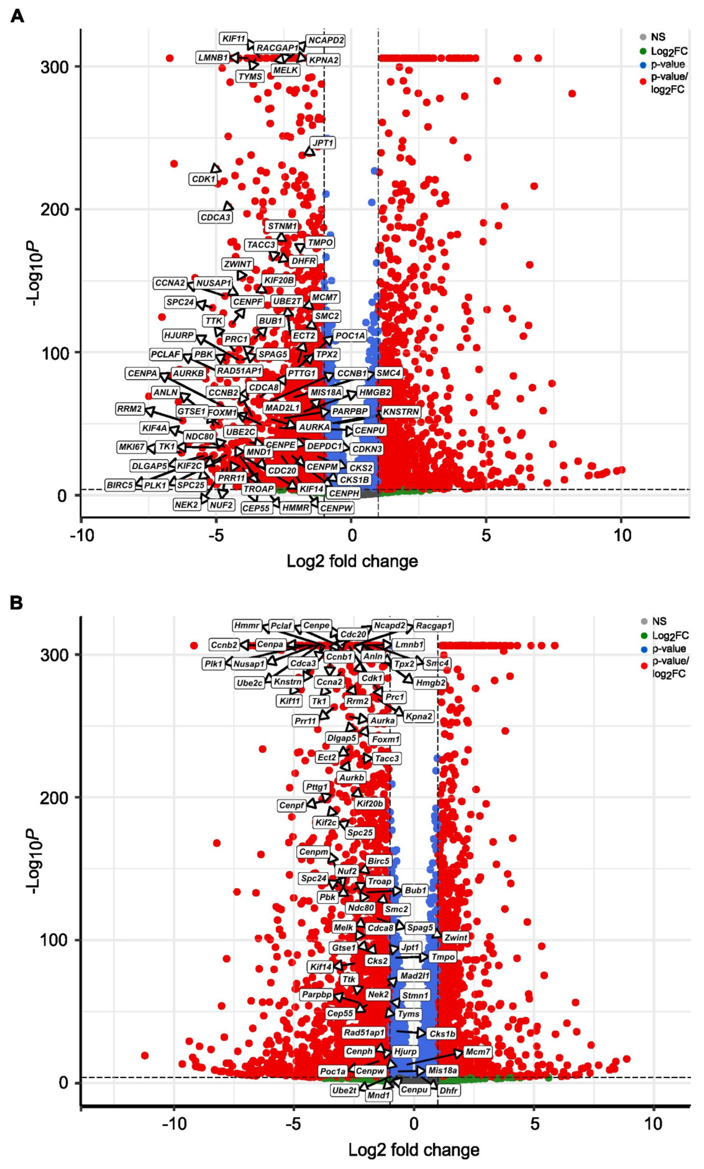 Cancers 17 03723 g007