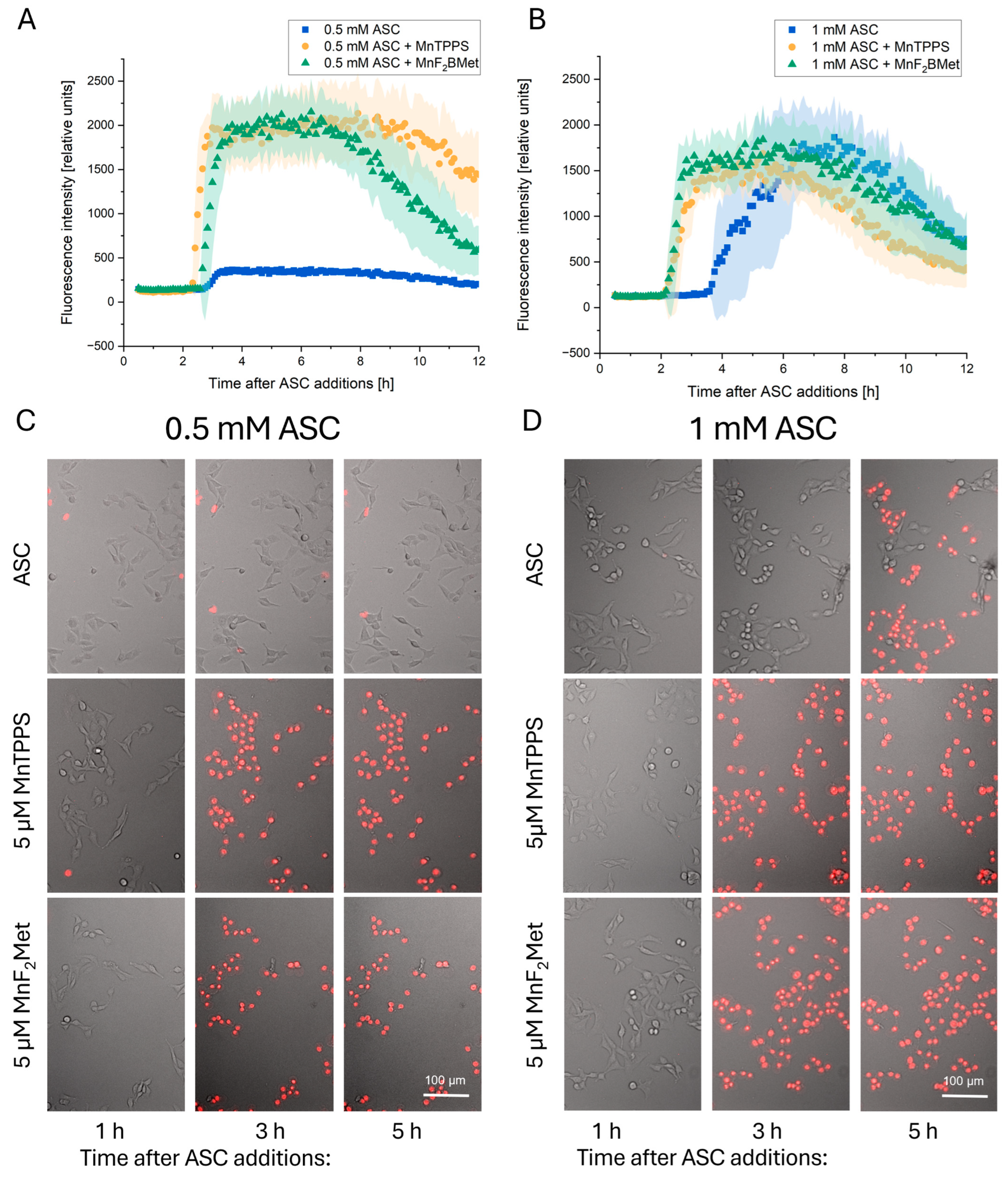 Cancers 17 03736 g004