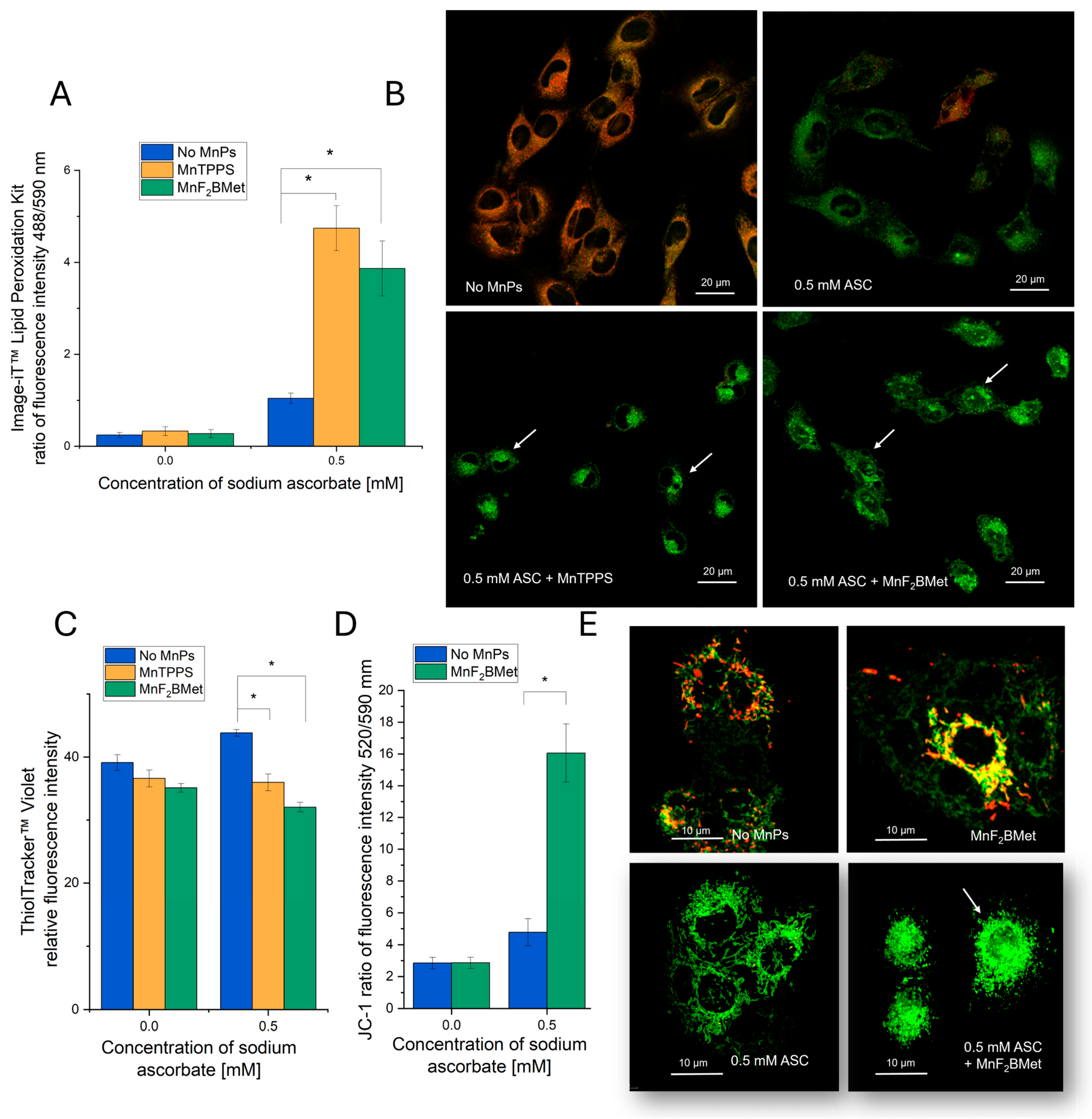 Cancers 17 03736 g005