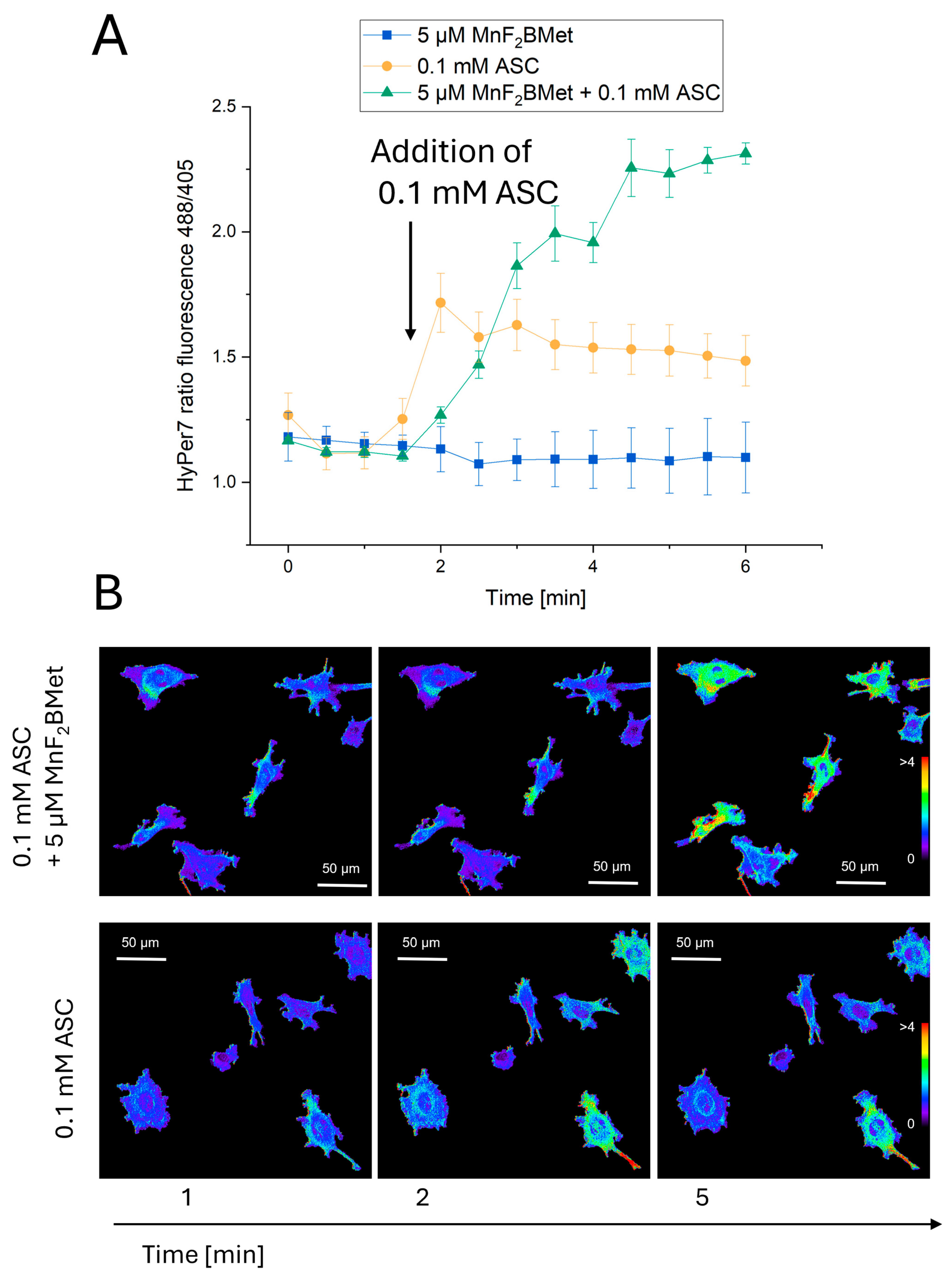 Cancers 17 03736 g006