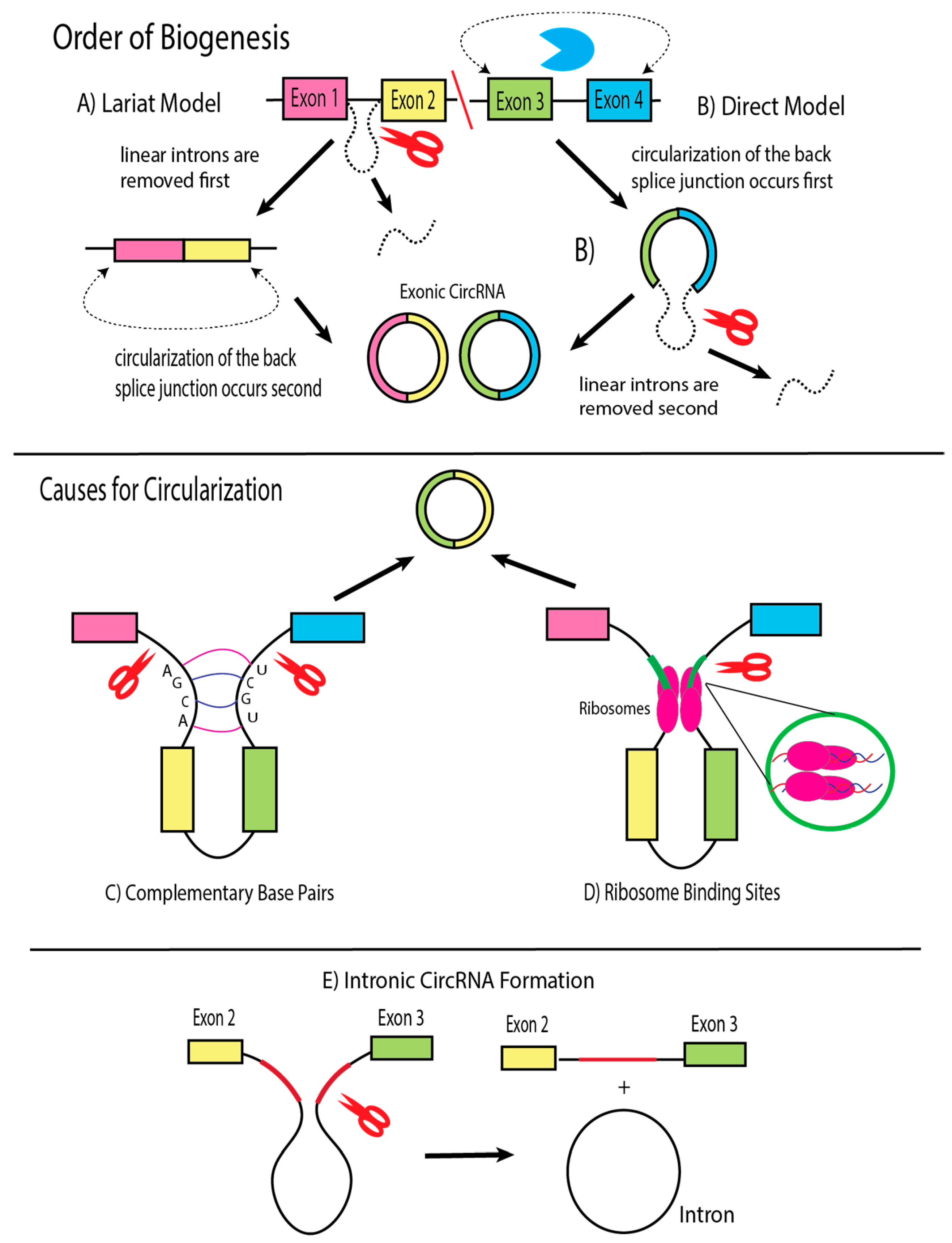 Cancers 17 03743 g001