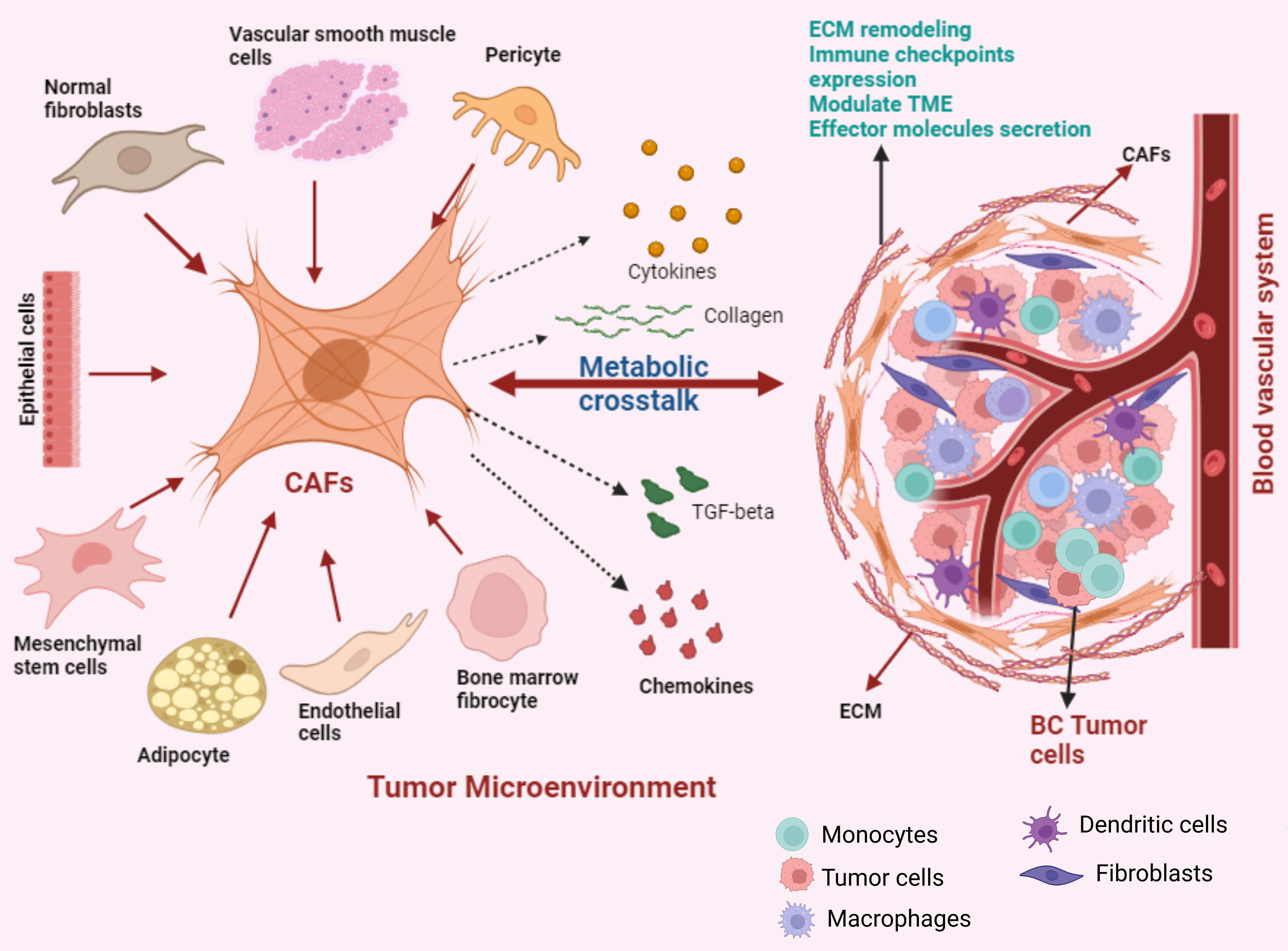 Cancers 17 03751 g002 Cancers 17 03751 g002