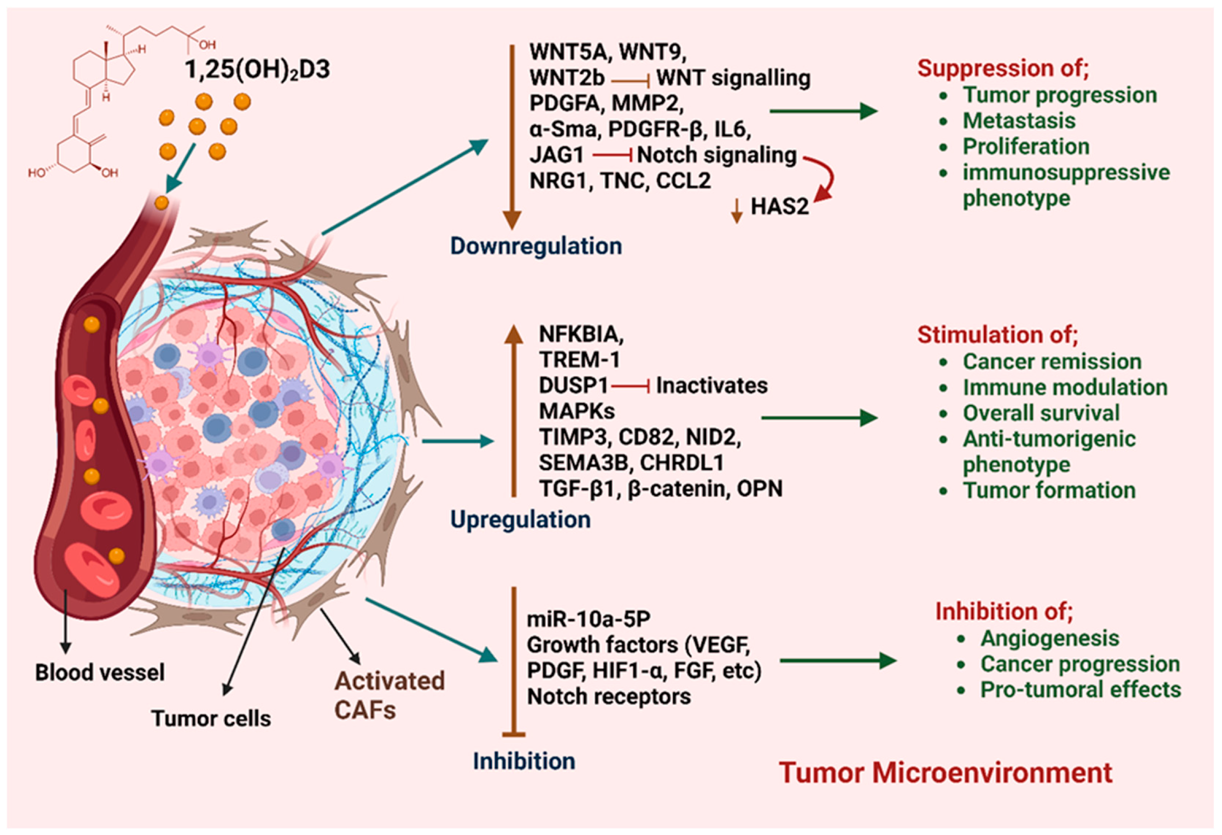 Cancers 17 03751 g003 Cancers 17 03751 g003