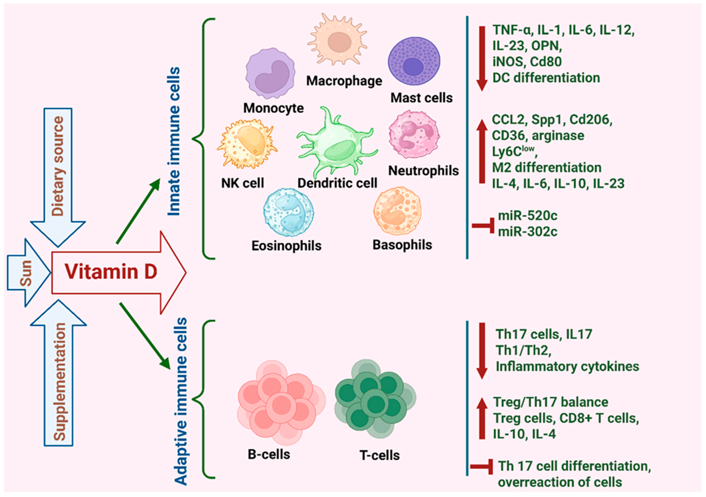 Cancers 17 03751 g005 Cancers 17 03751 g005