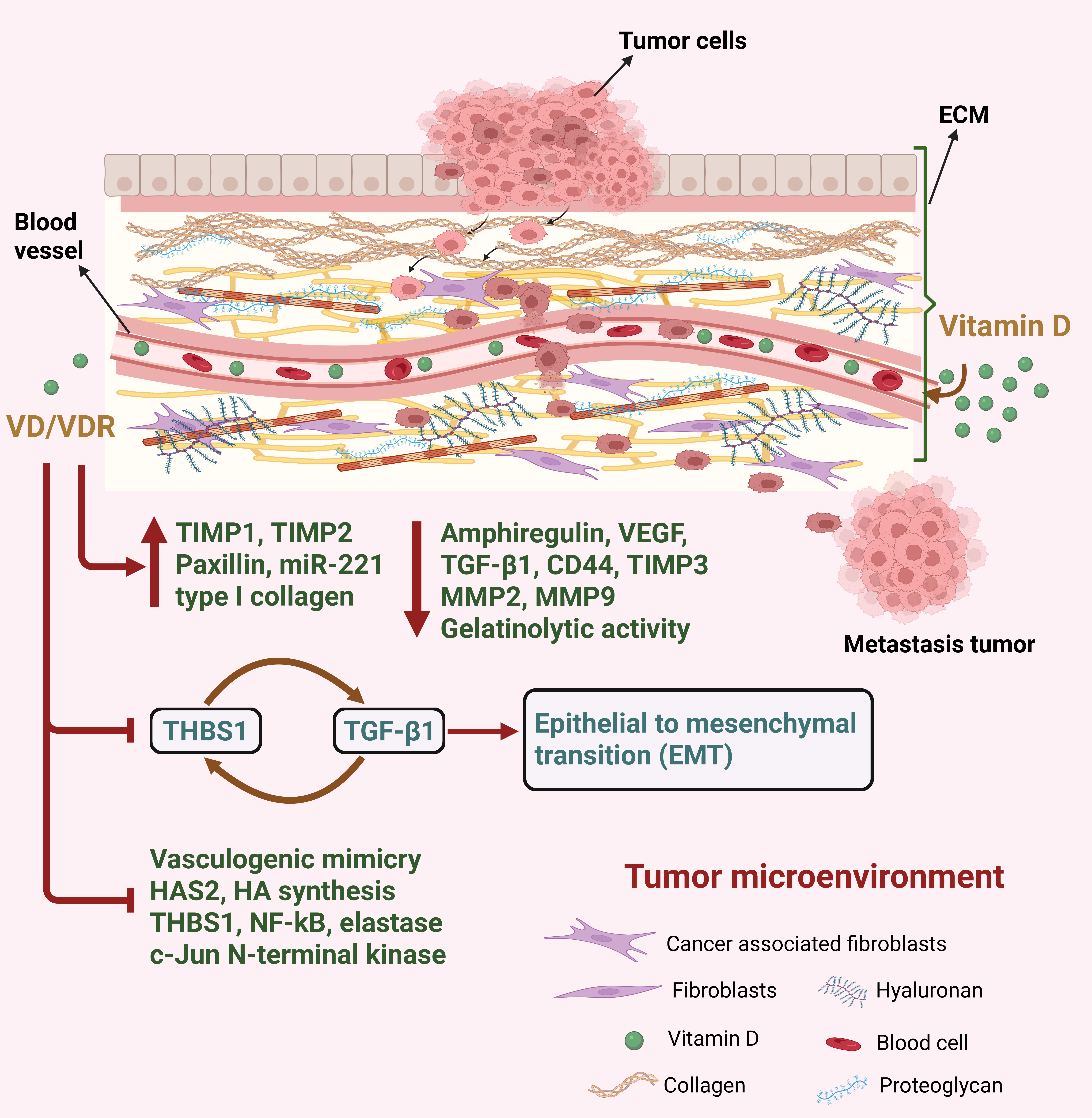 Cancers 17 03751 g006 Cancers 17 03751 g006