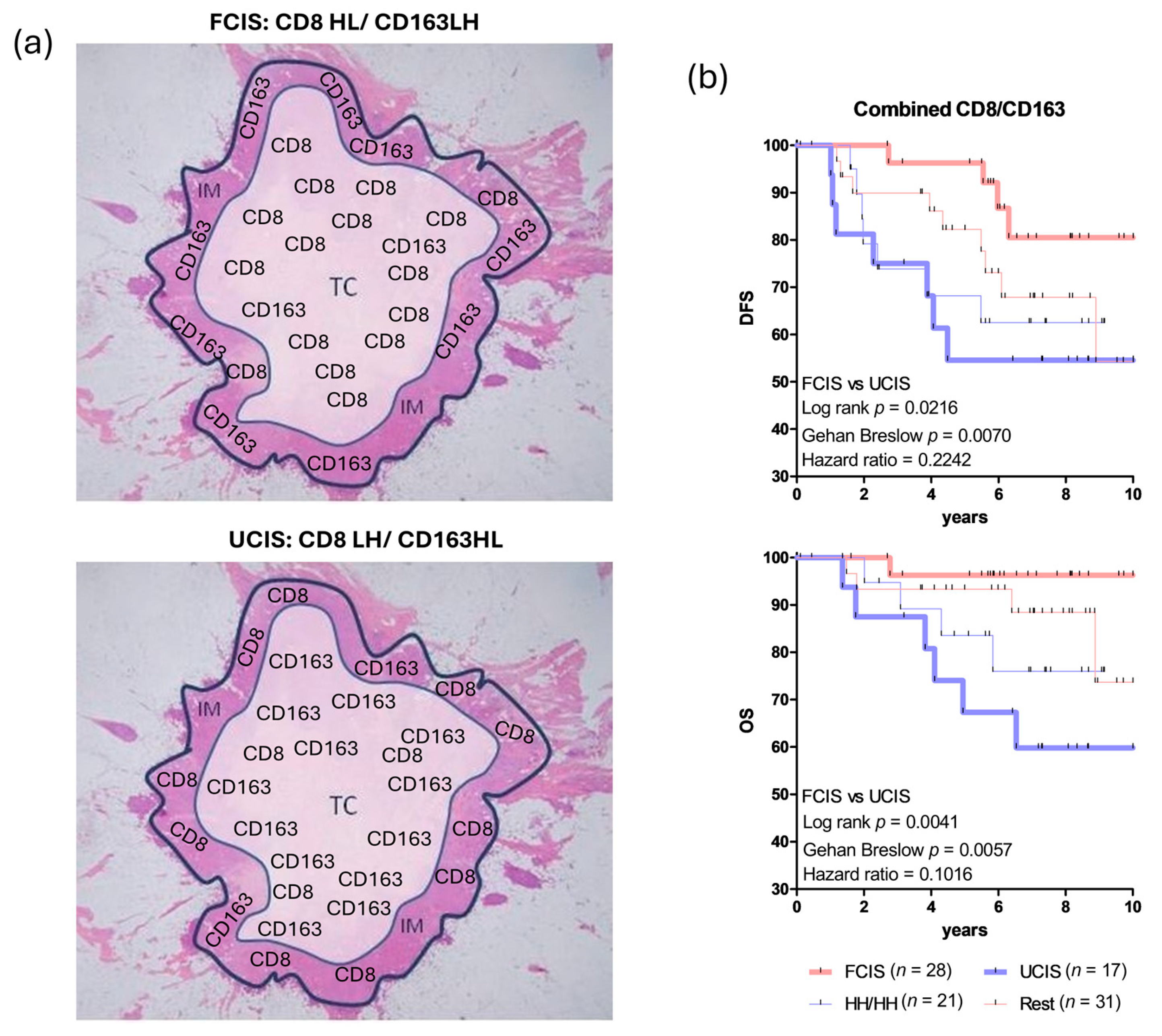 Cancers 17 03754 g001