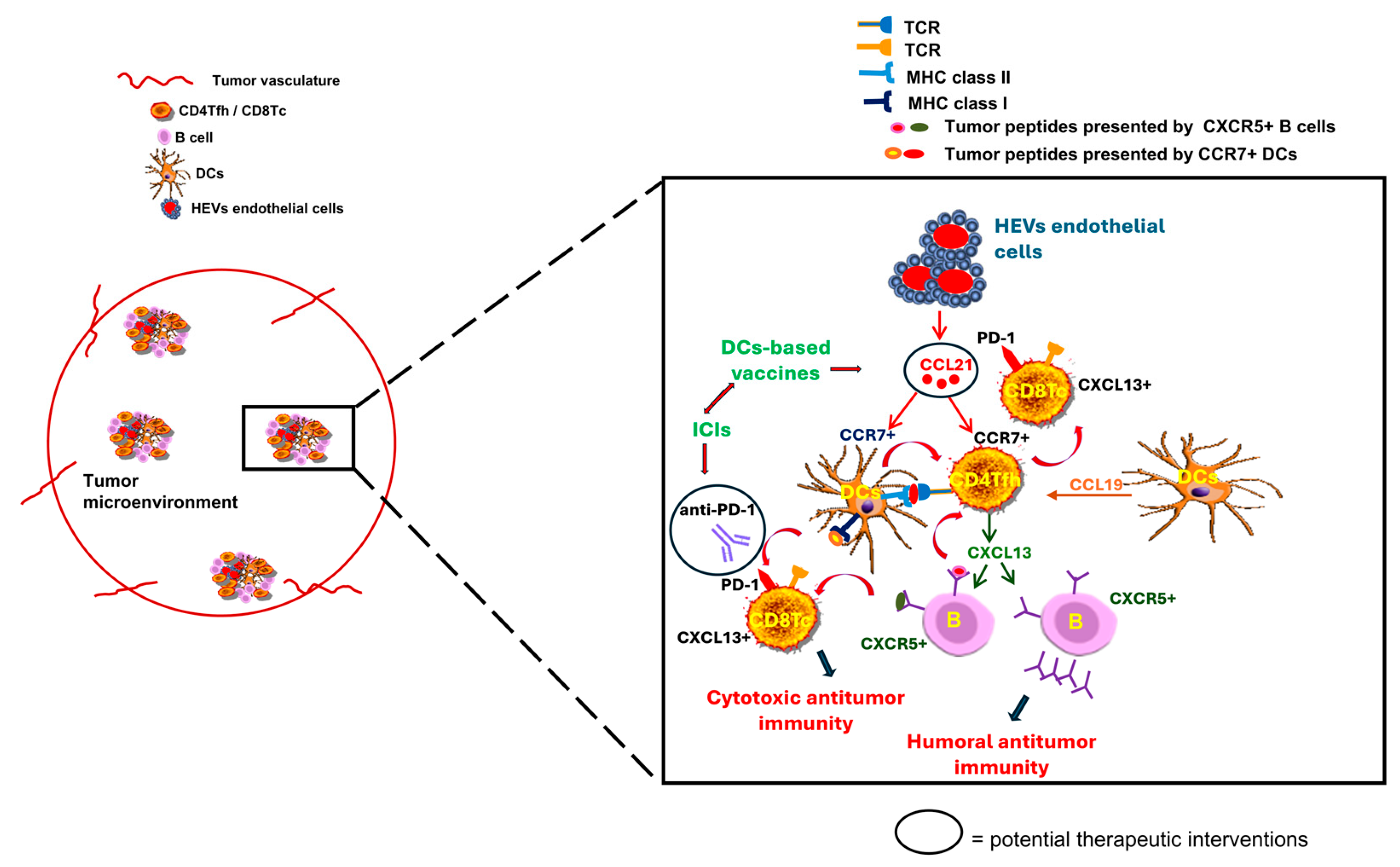Cancers 17 03754 g006