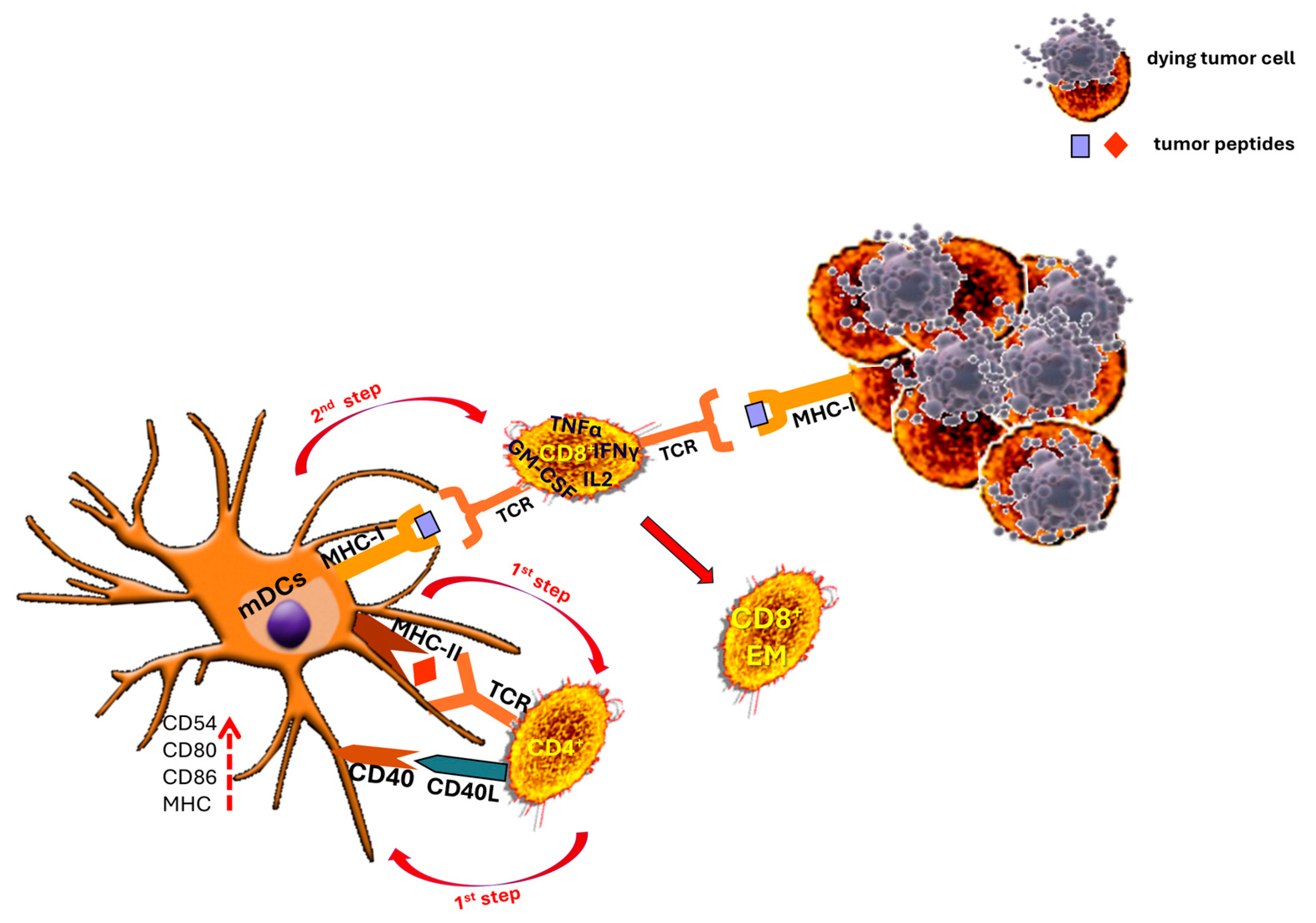 Cancers 17 03754 g007