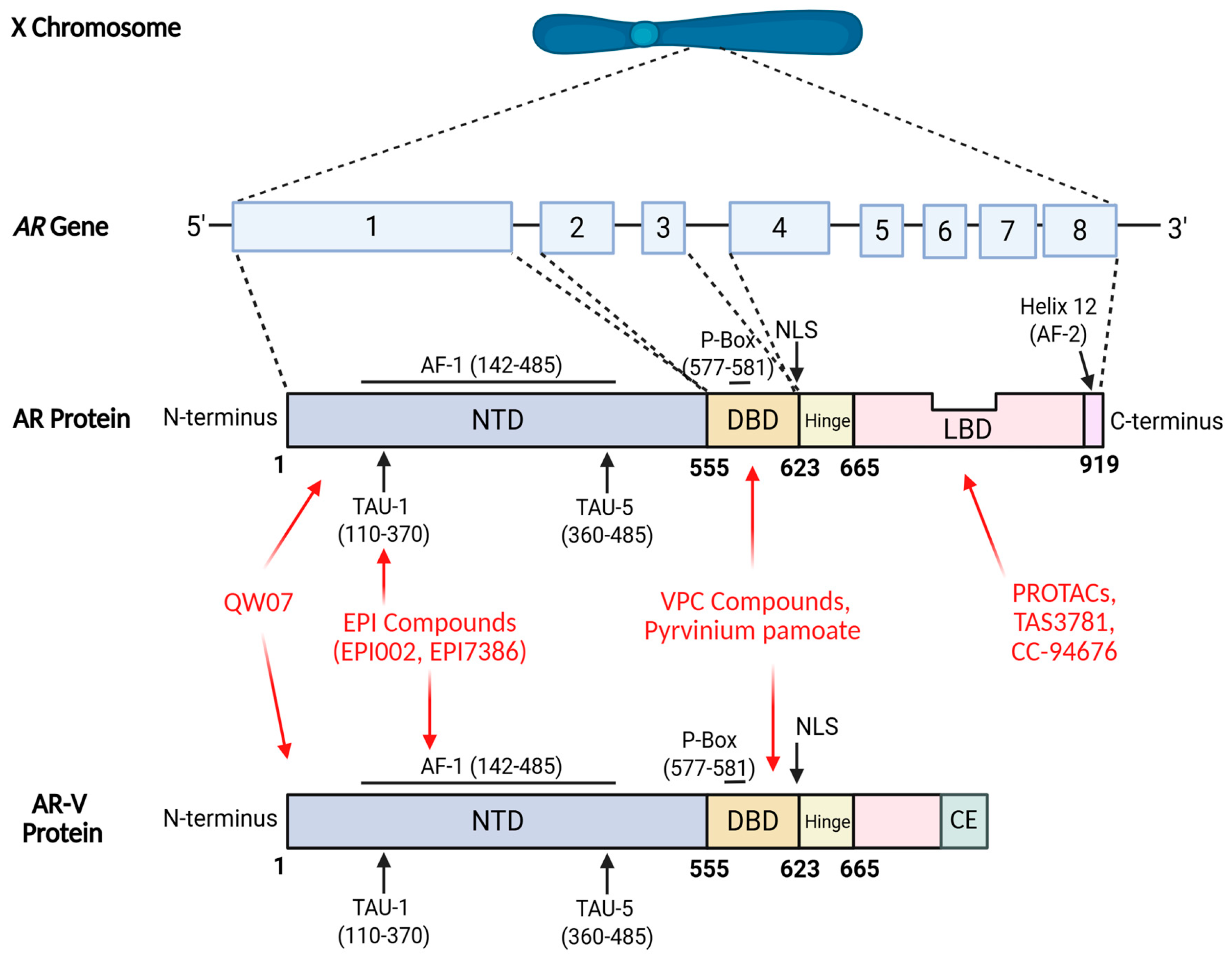 Cancers 17 03755 g001 Cancers 17 03755 g001