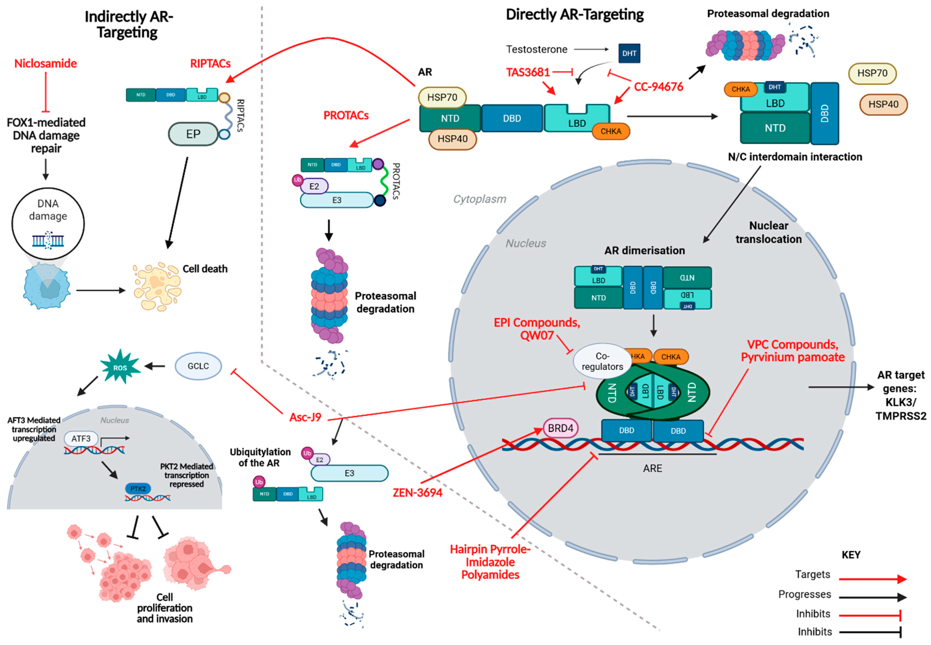 Cancers 17 03755 g002 Cancers 17 03755 g002