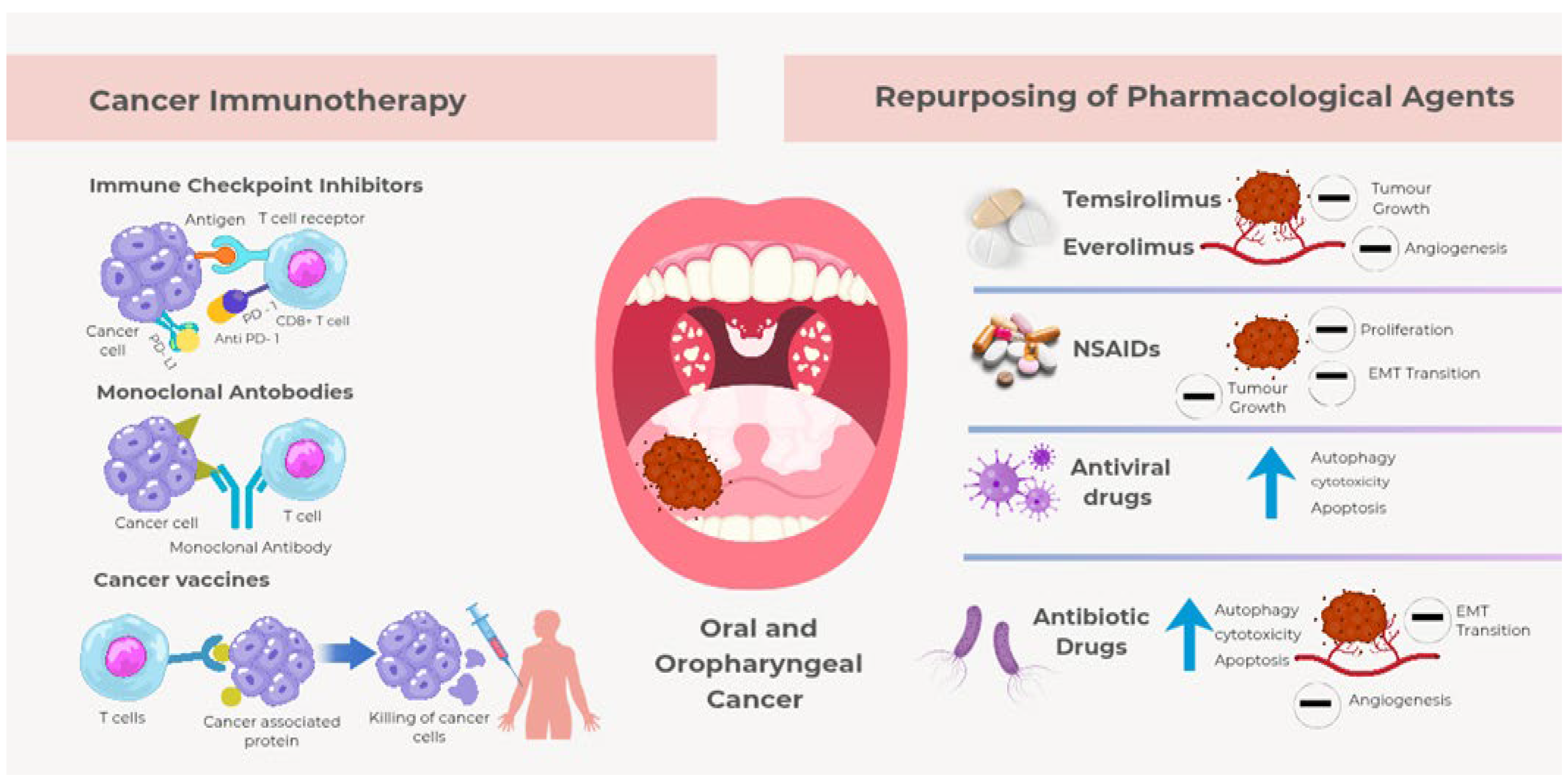 Cancers 17 03761 g001
