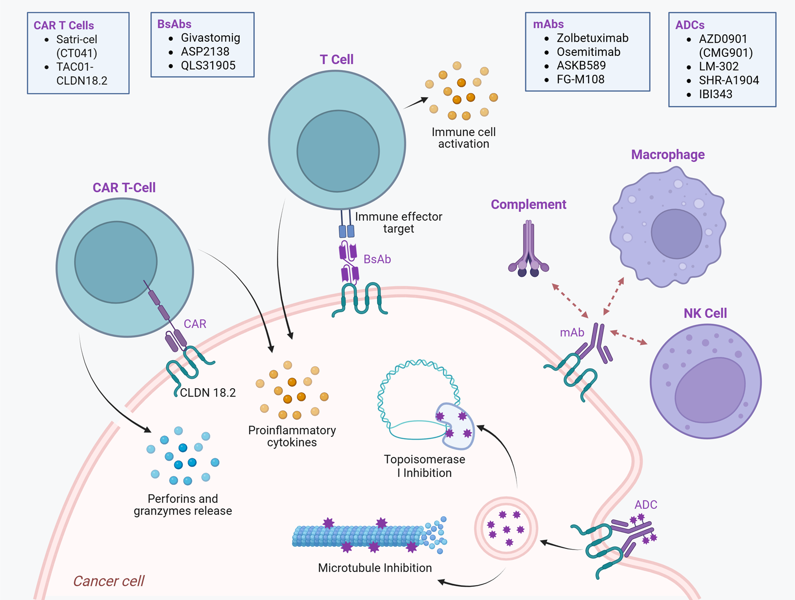 Cancers 17 03764 g002