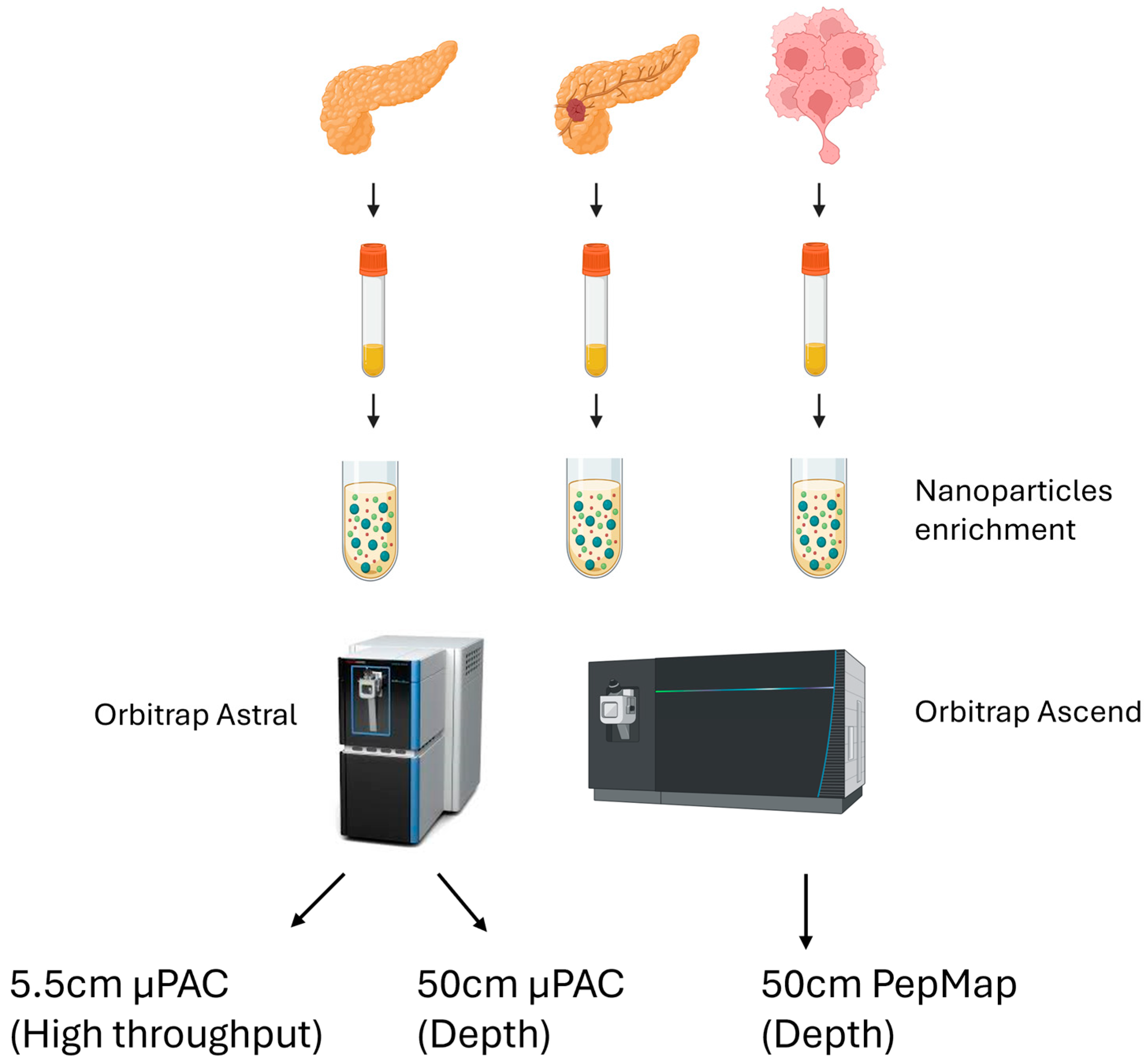 Cancers 17 03765 g001