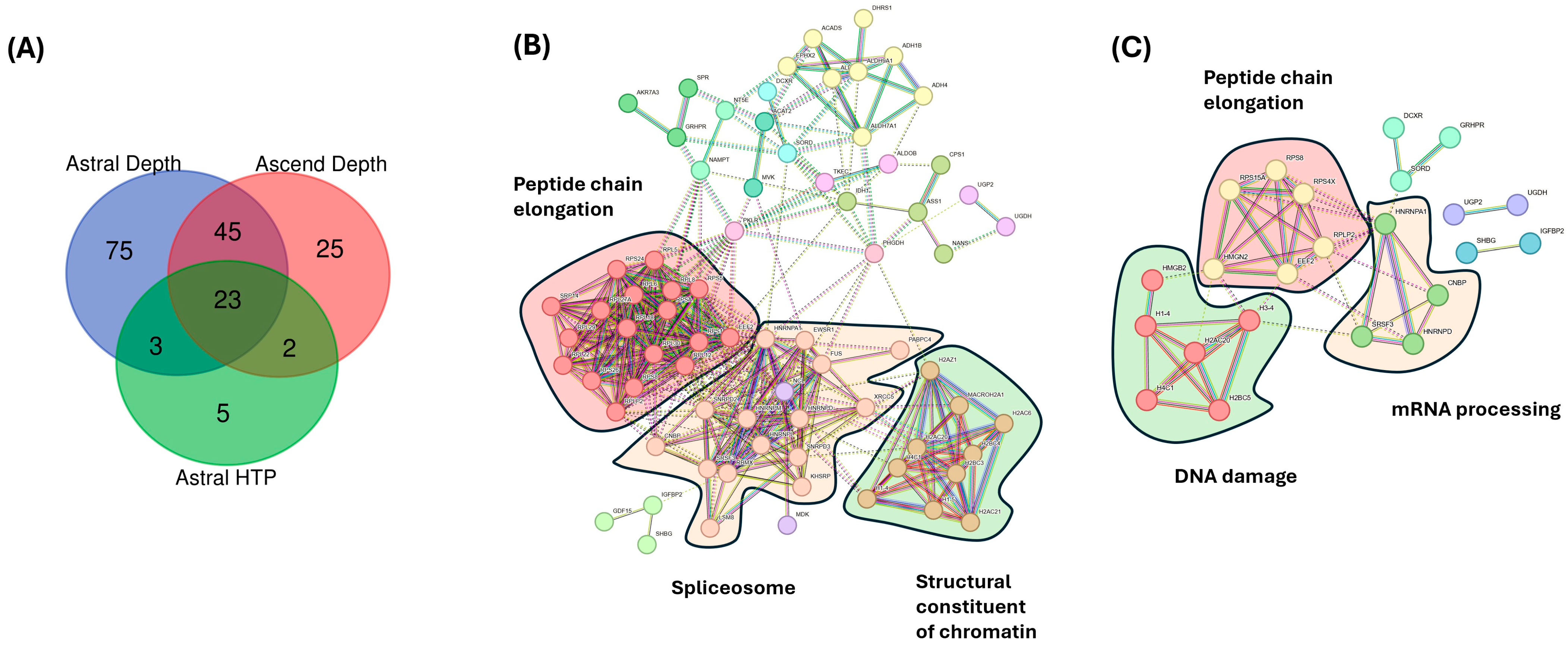 Cancers 17 03765 g005