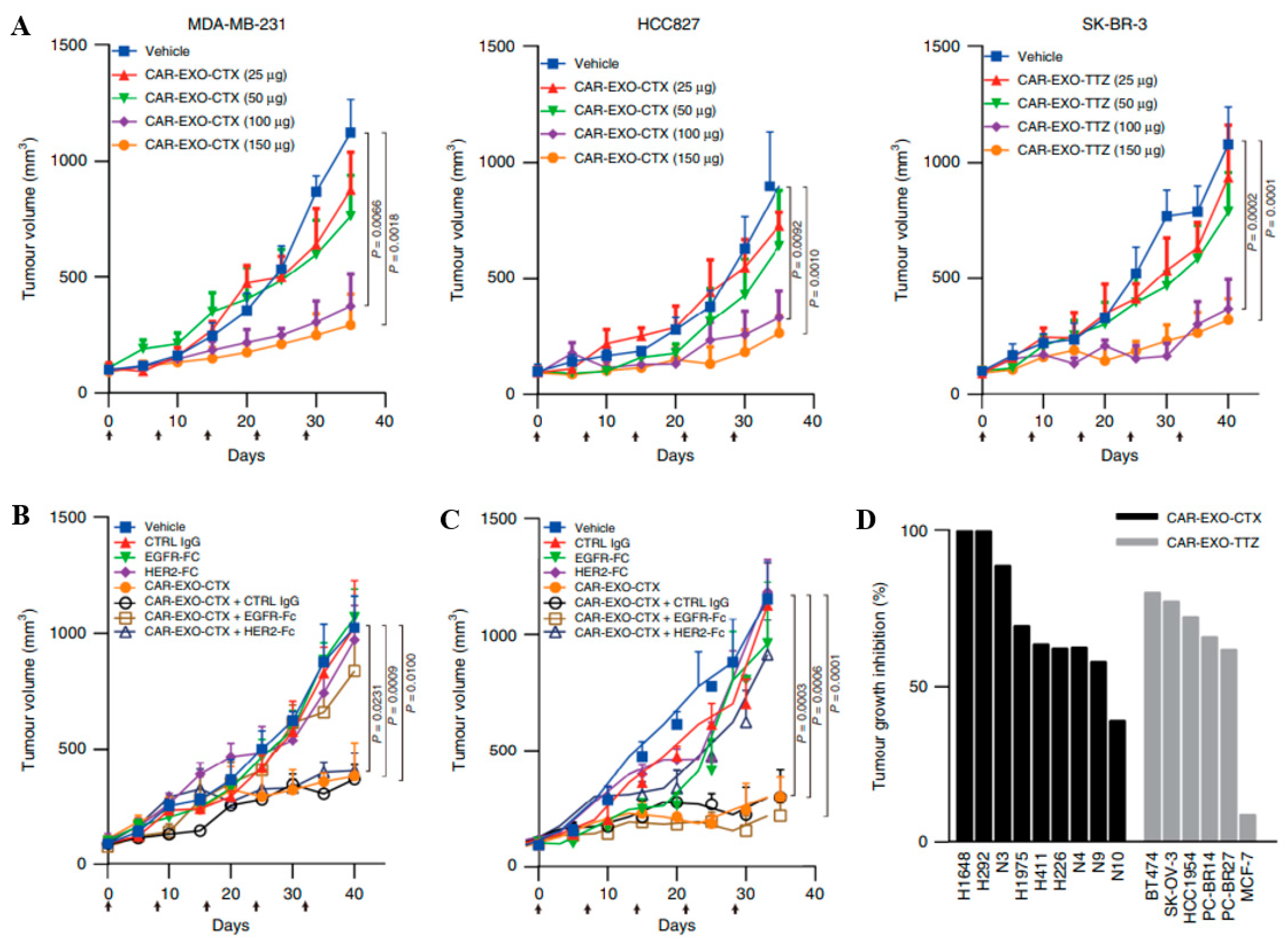 Cancers 17 03766 g005