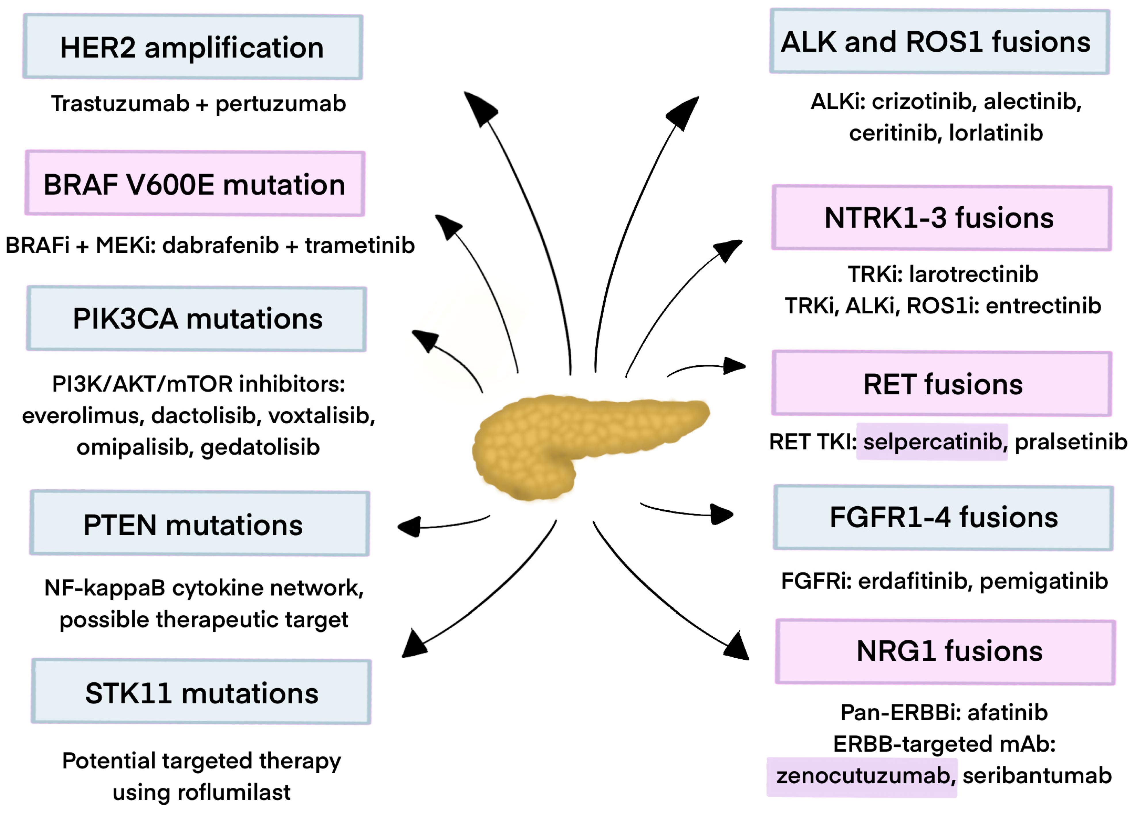 Cancers 17 03769 g001 Cancers 17 03769 g001