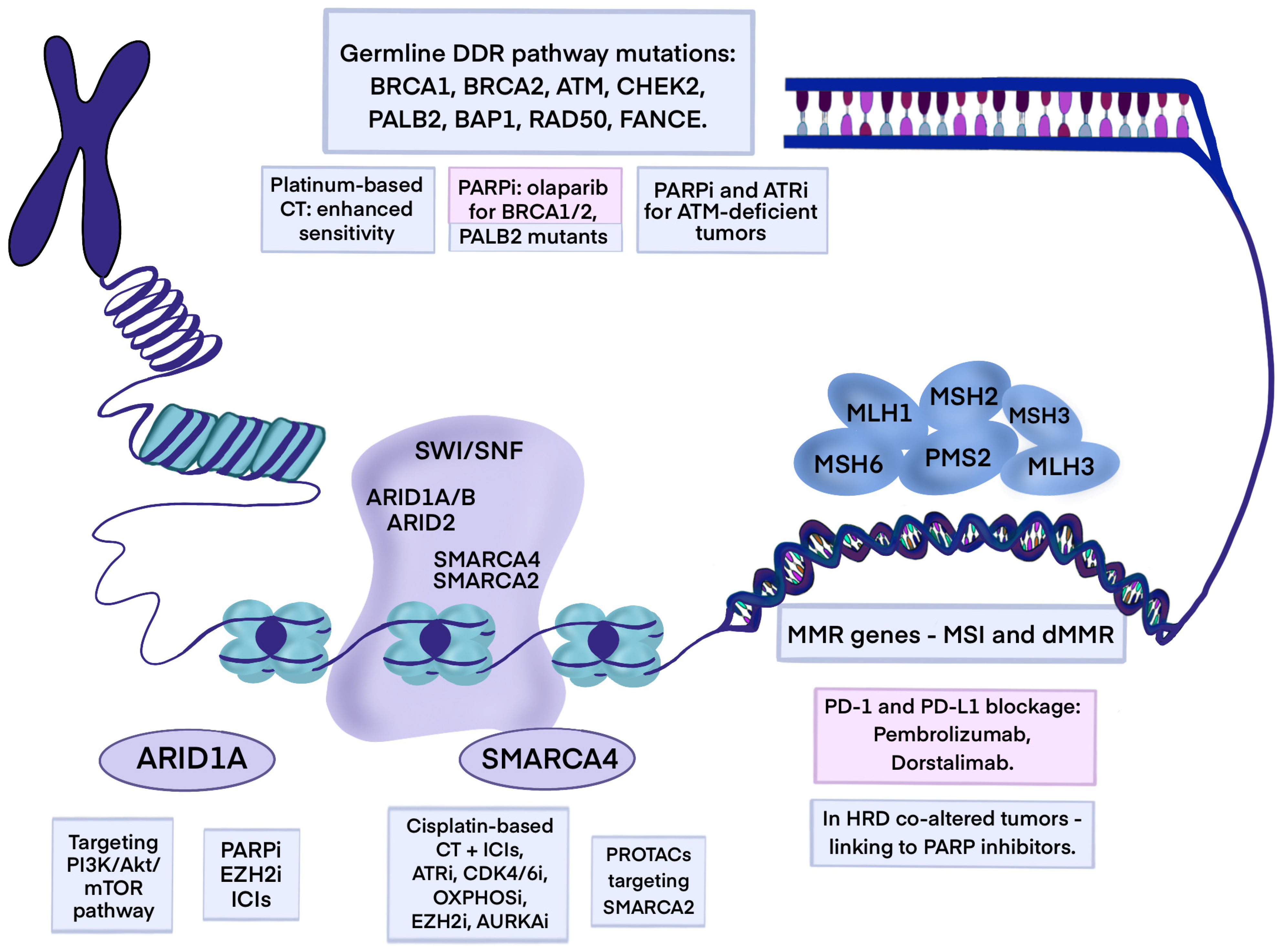 Cancers 17 03769 g002 Cancers 17 03769 g002