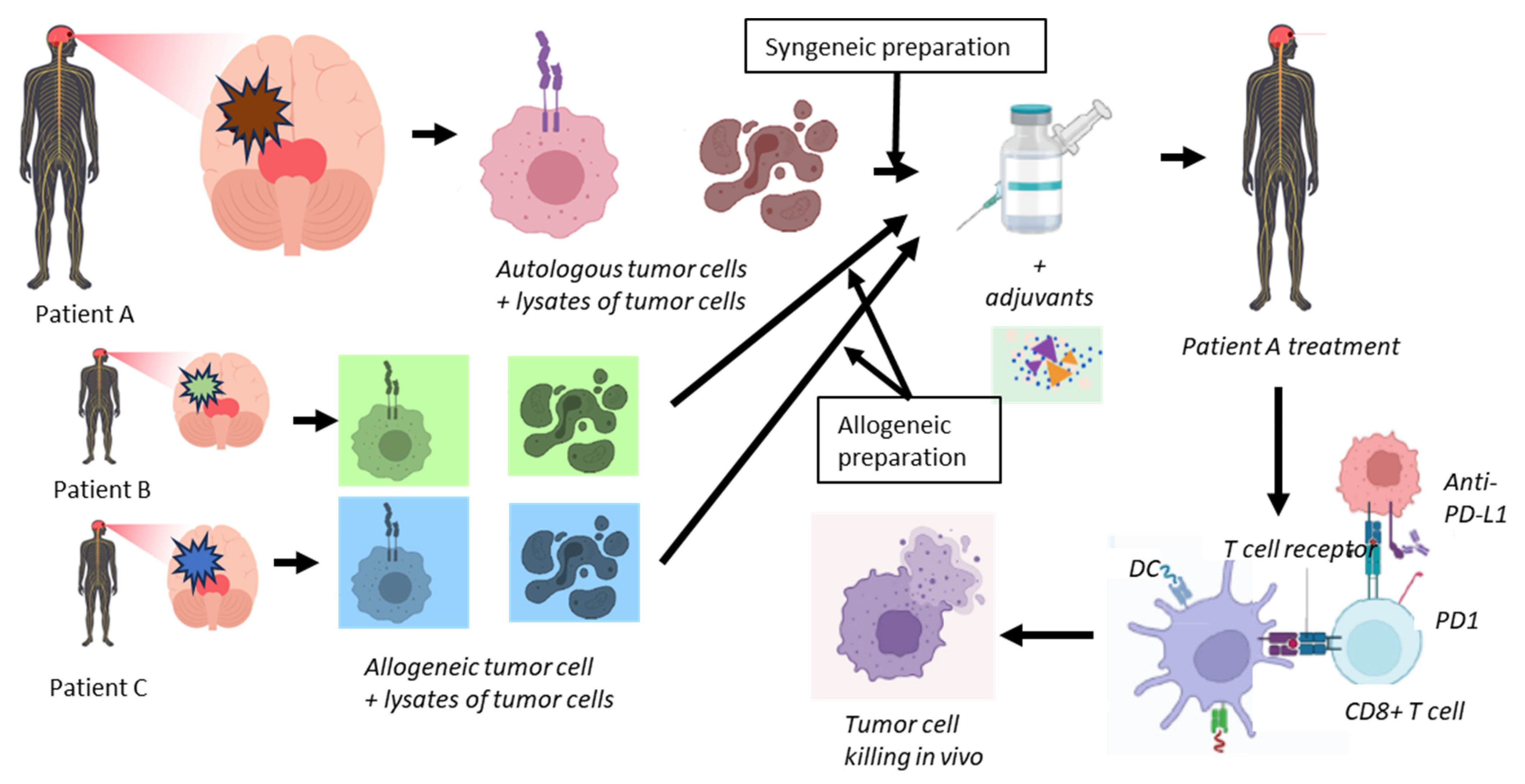 Cancers 17 03772 g002