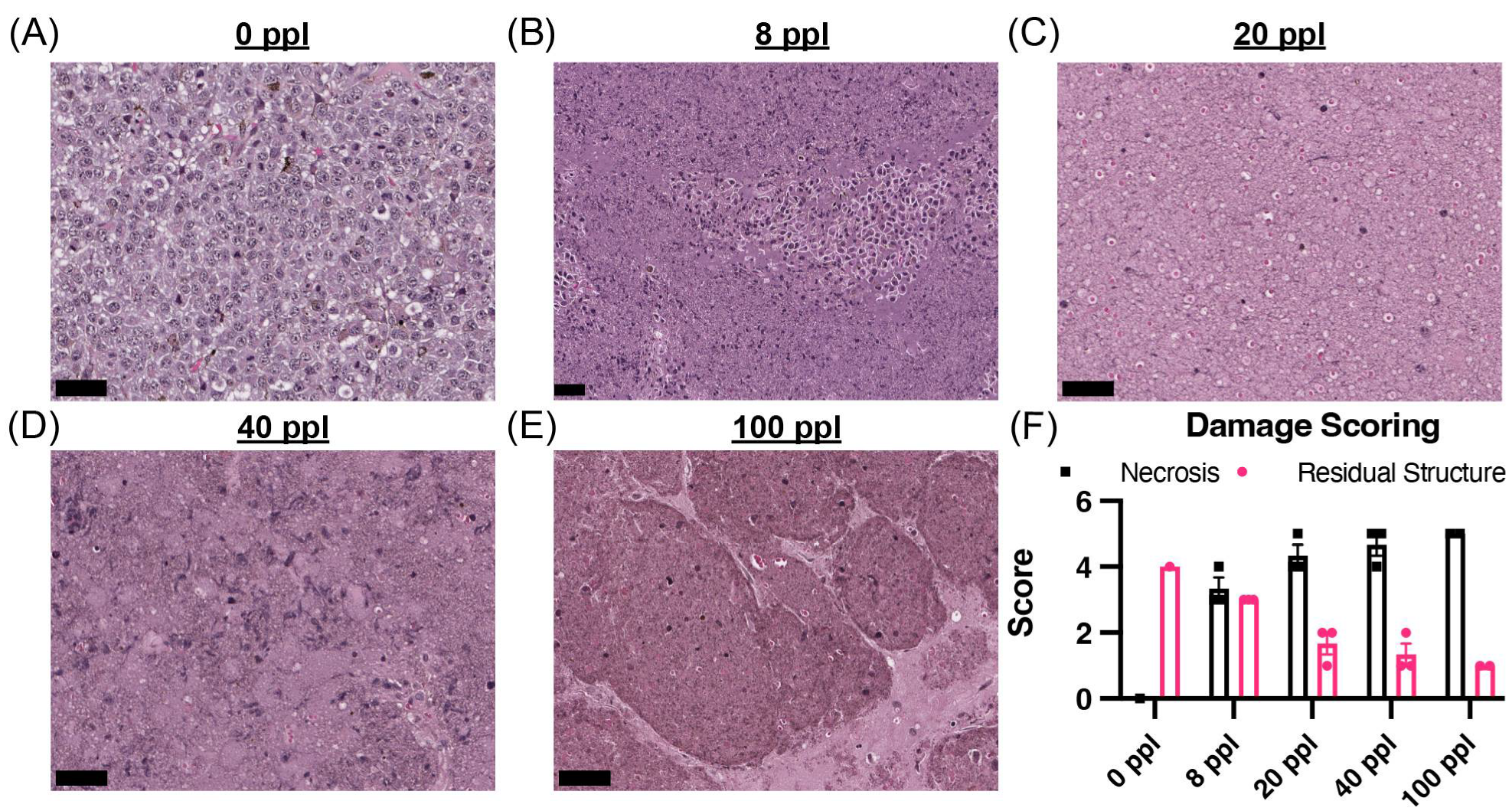 Cancers 17 03773 g001 Cancers 17 03773 g001