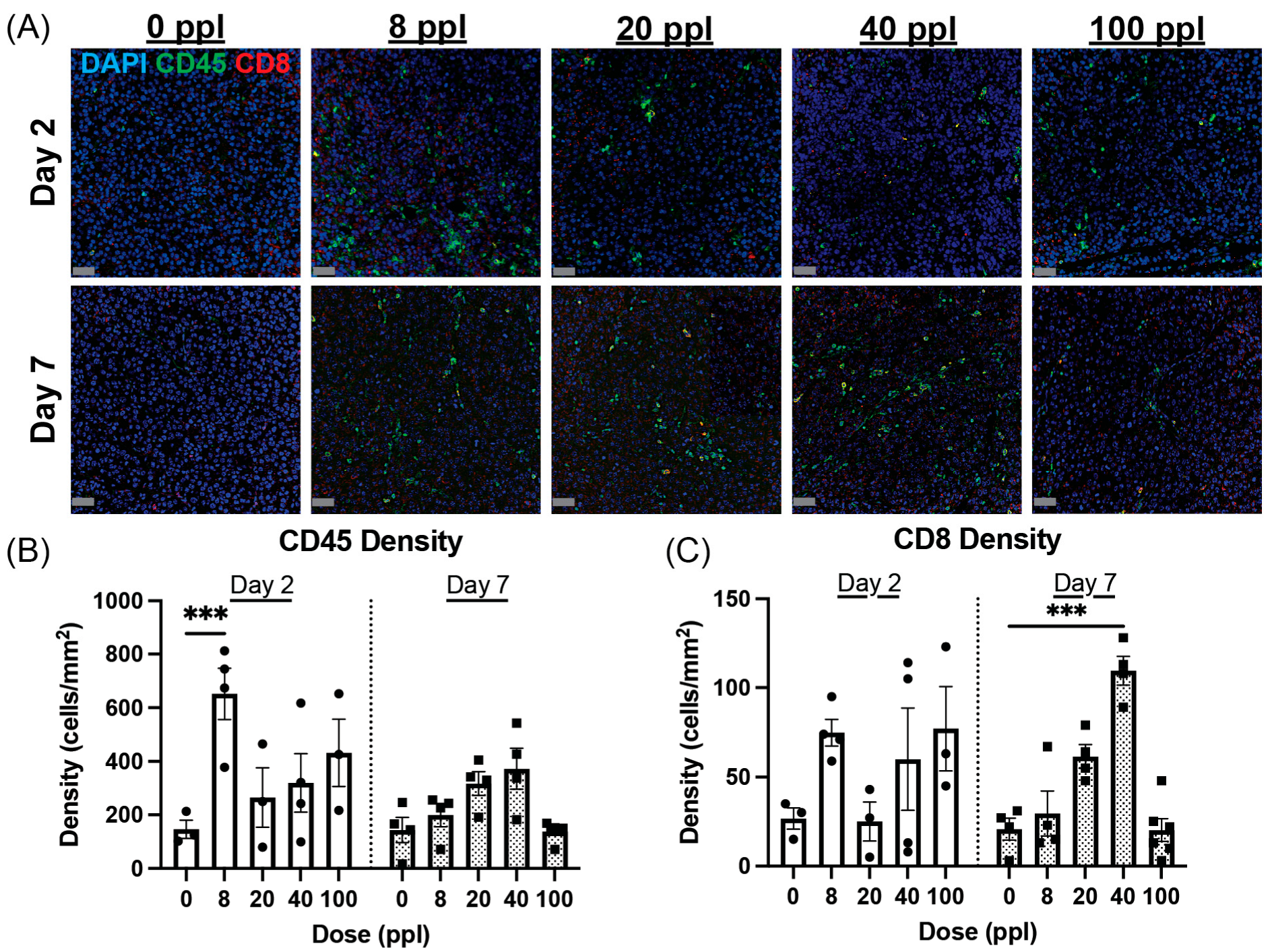 Cancers 17 03773 g003 Cancers 17 03773 g003