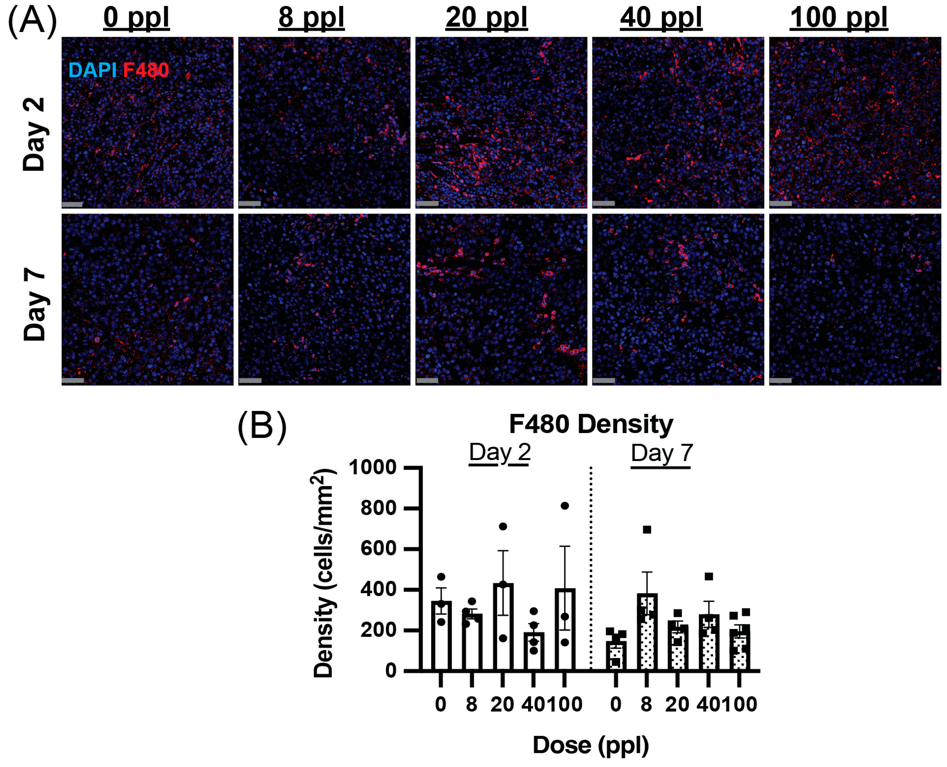 Cancers 17 03773 g004 Cancers 17 03773 g004