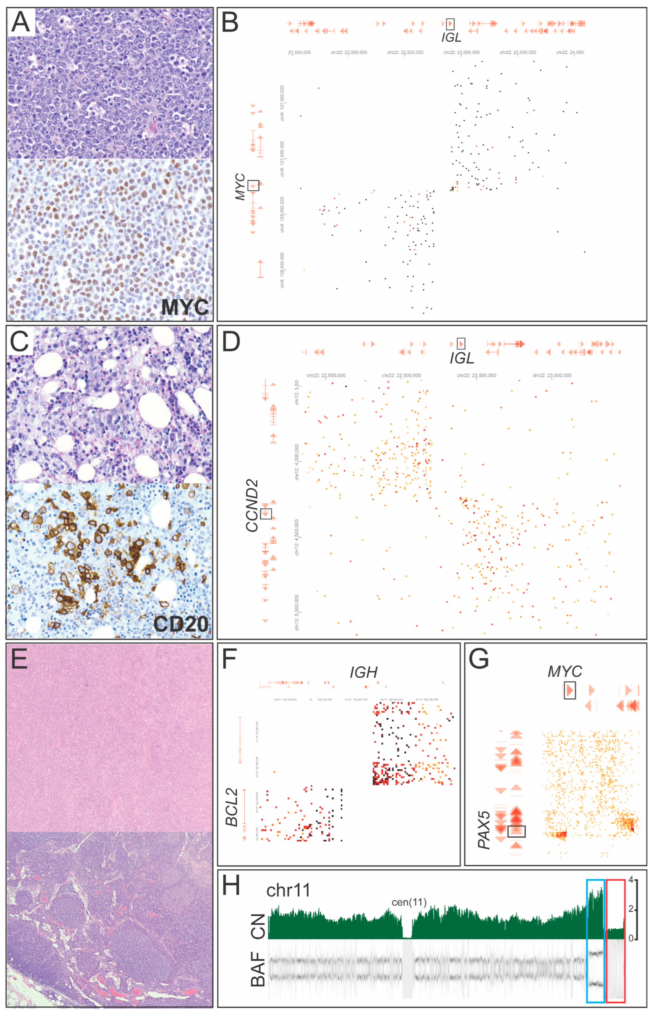 Cancers 17 03775 g002