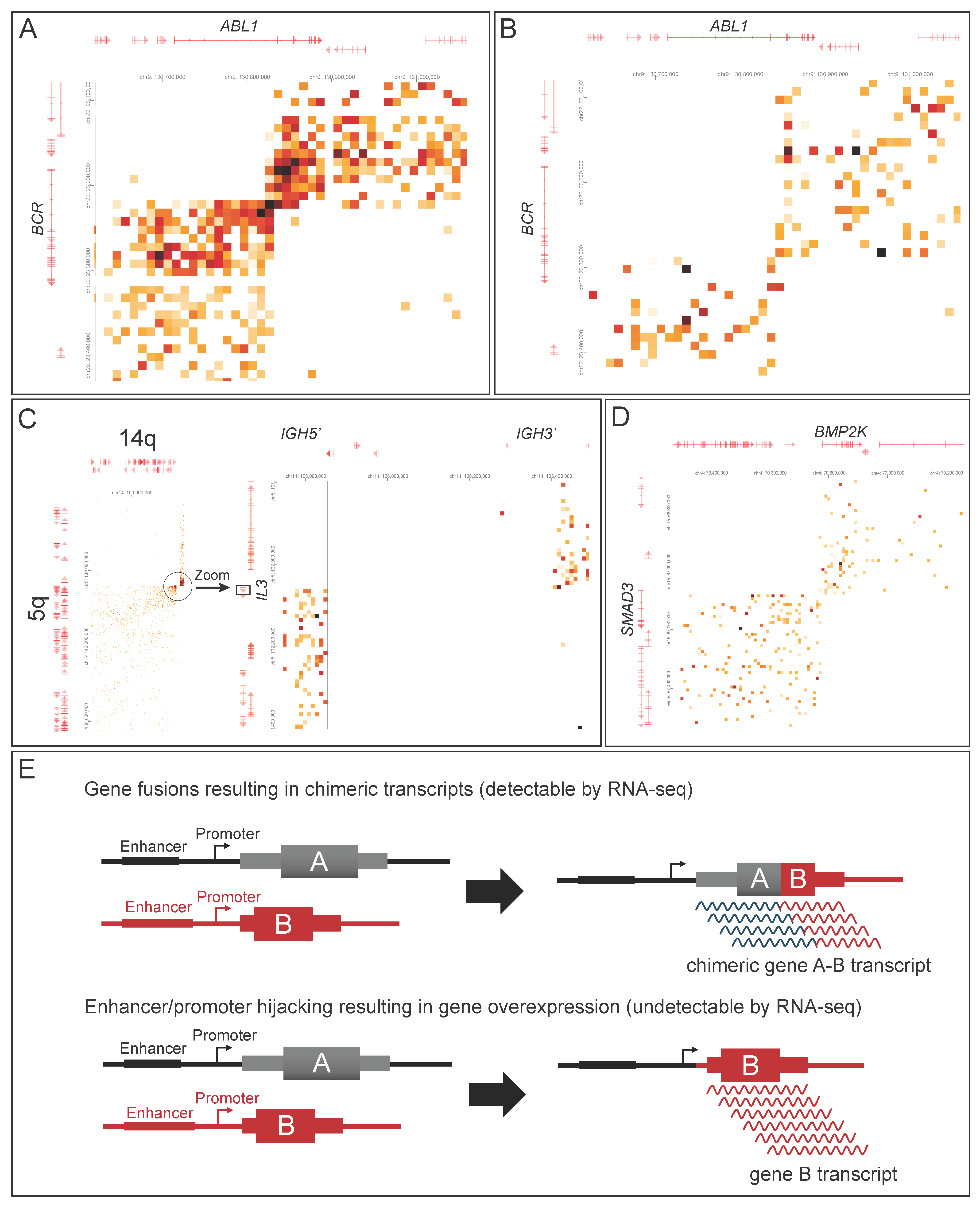 Cancers 17 03775 g004