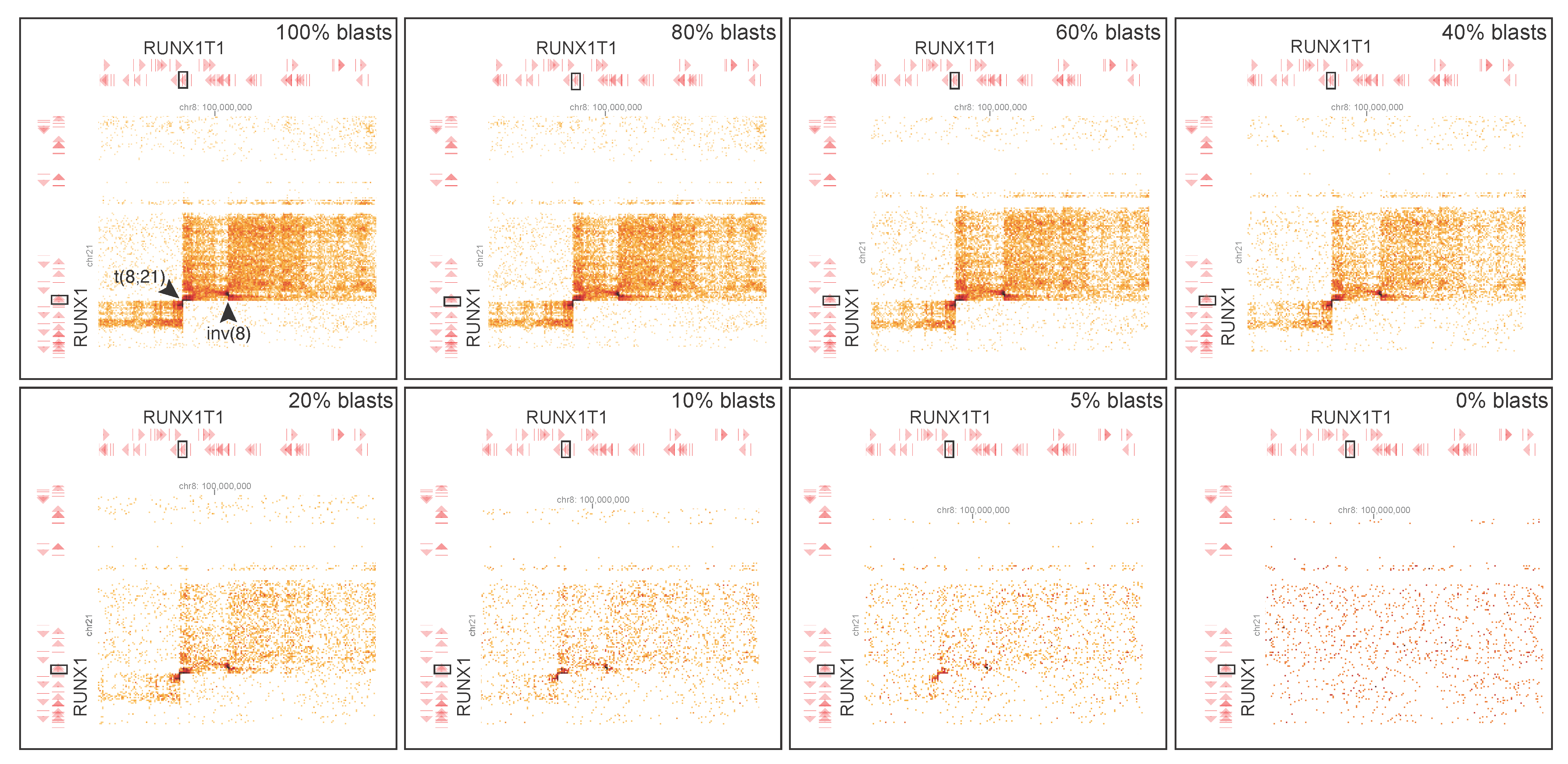 Cancers 17 03775 g005