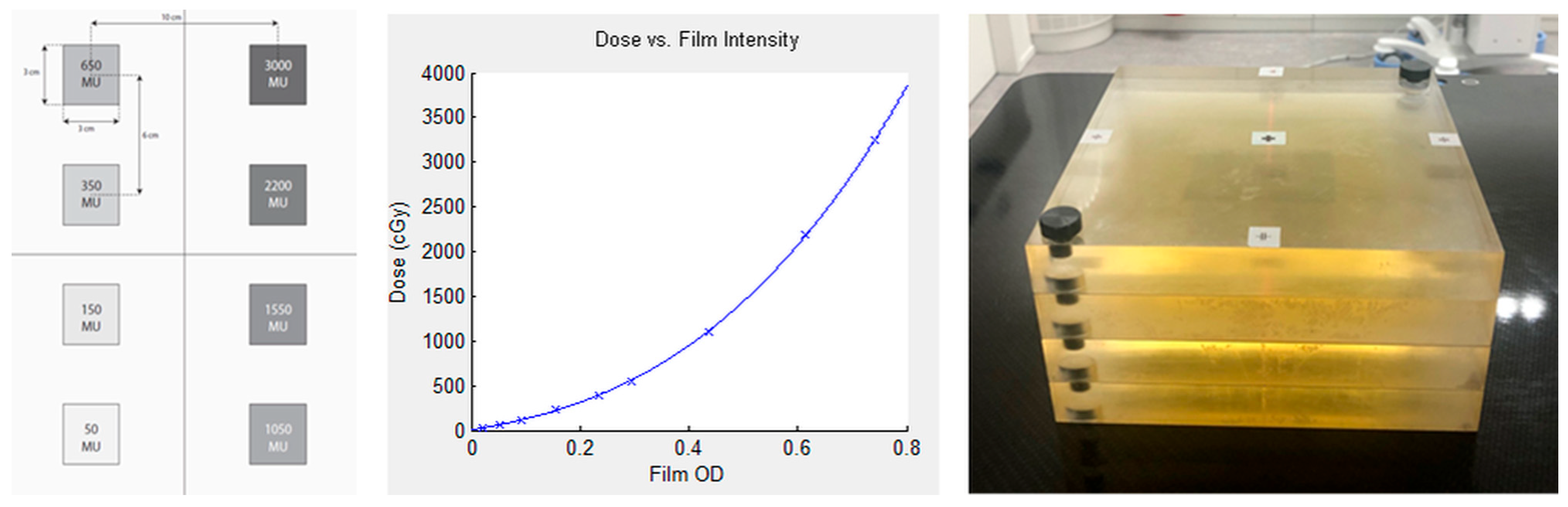 Cancers 17 03776 g001