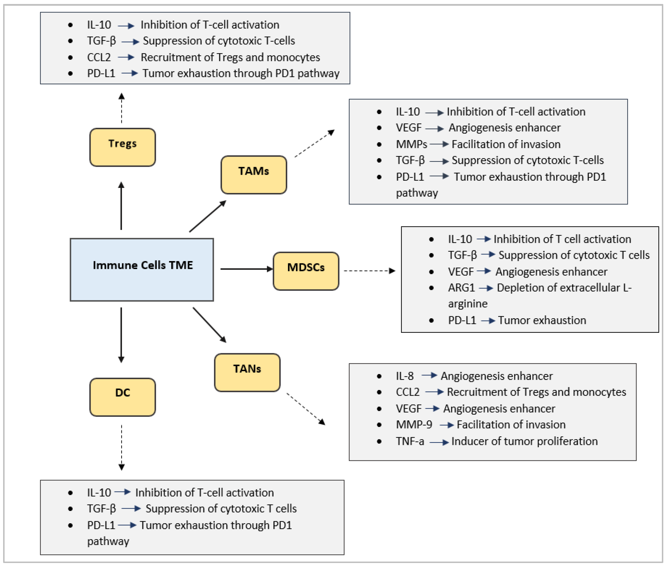 Cancers 17 03777 g001