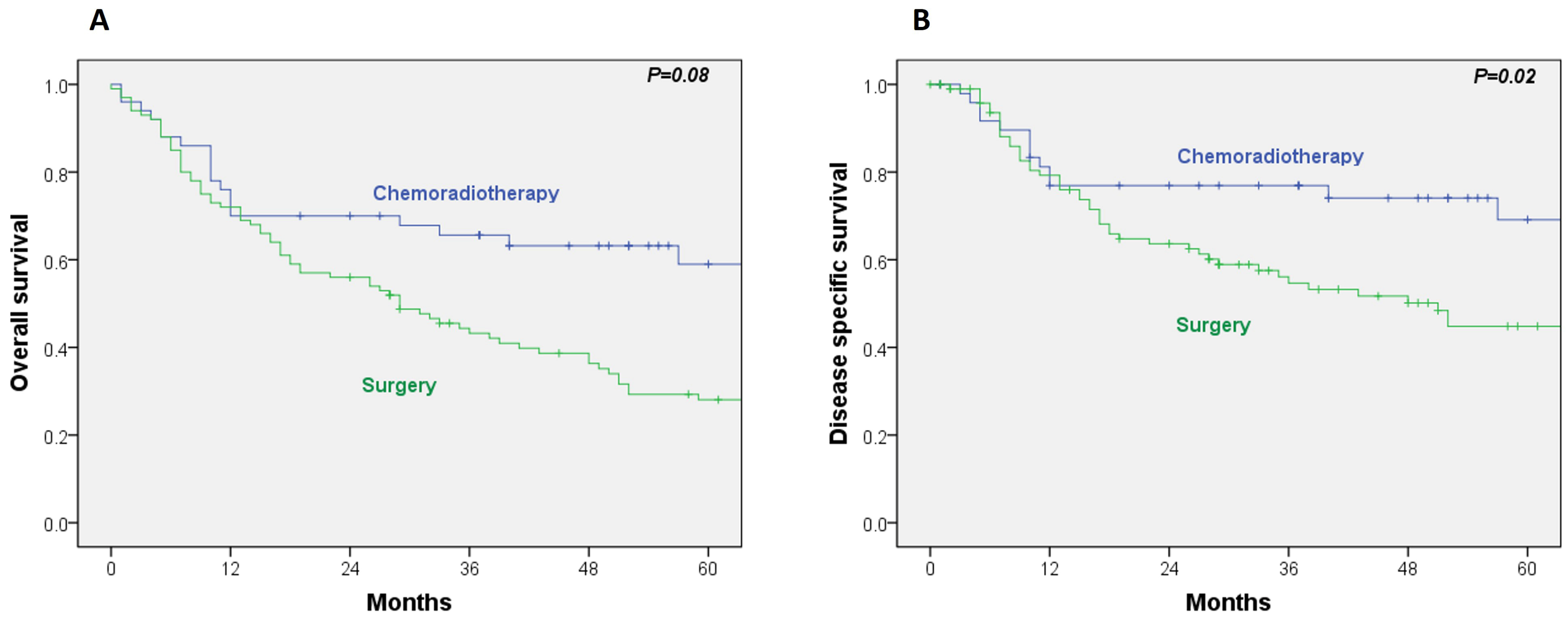 Cancers 17 03779 g001
