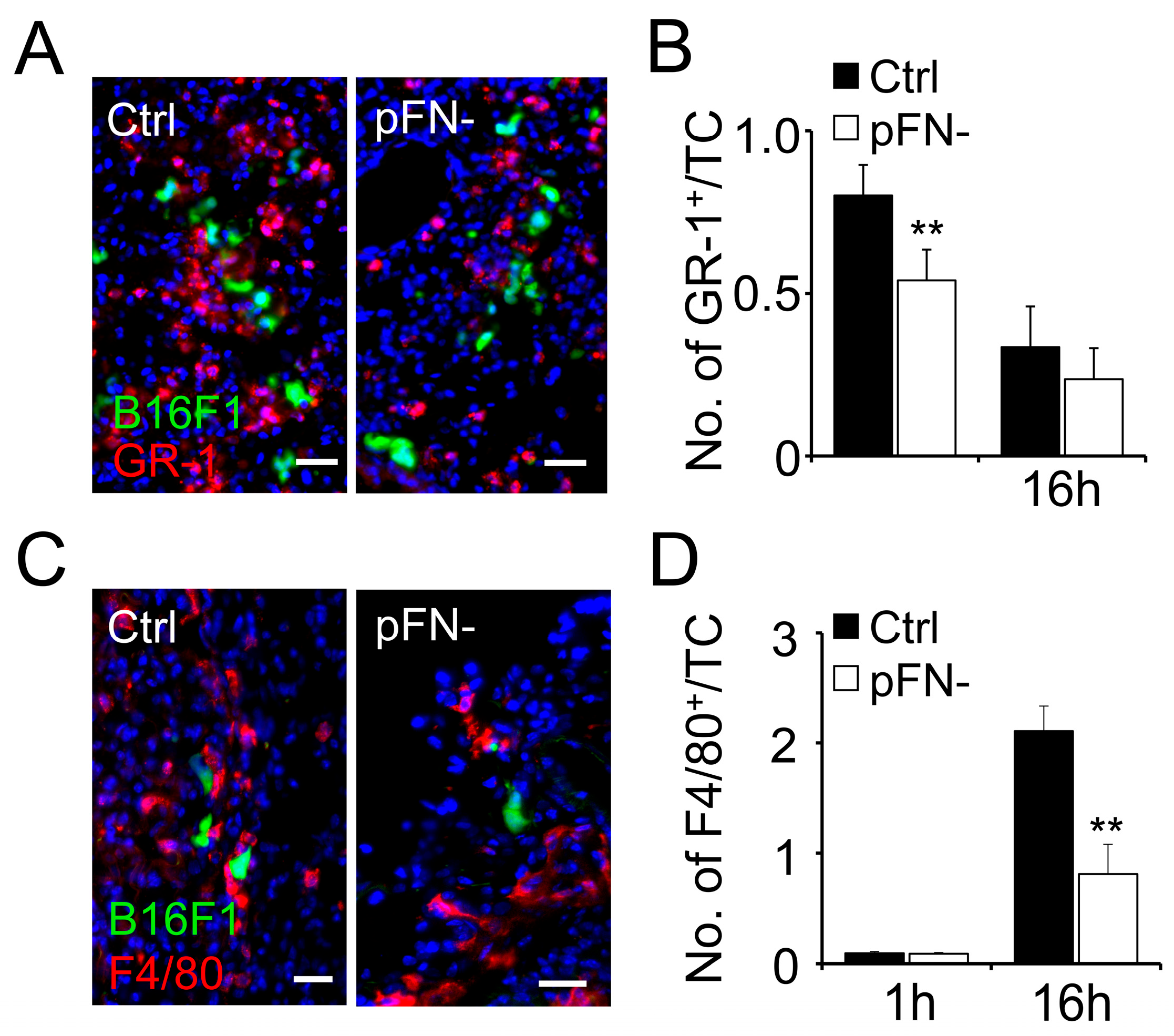 Cancers 17 03780 g002 Cancers 17 03780 g002