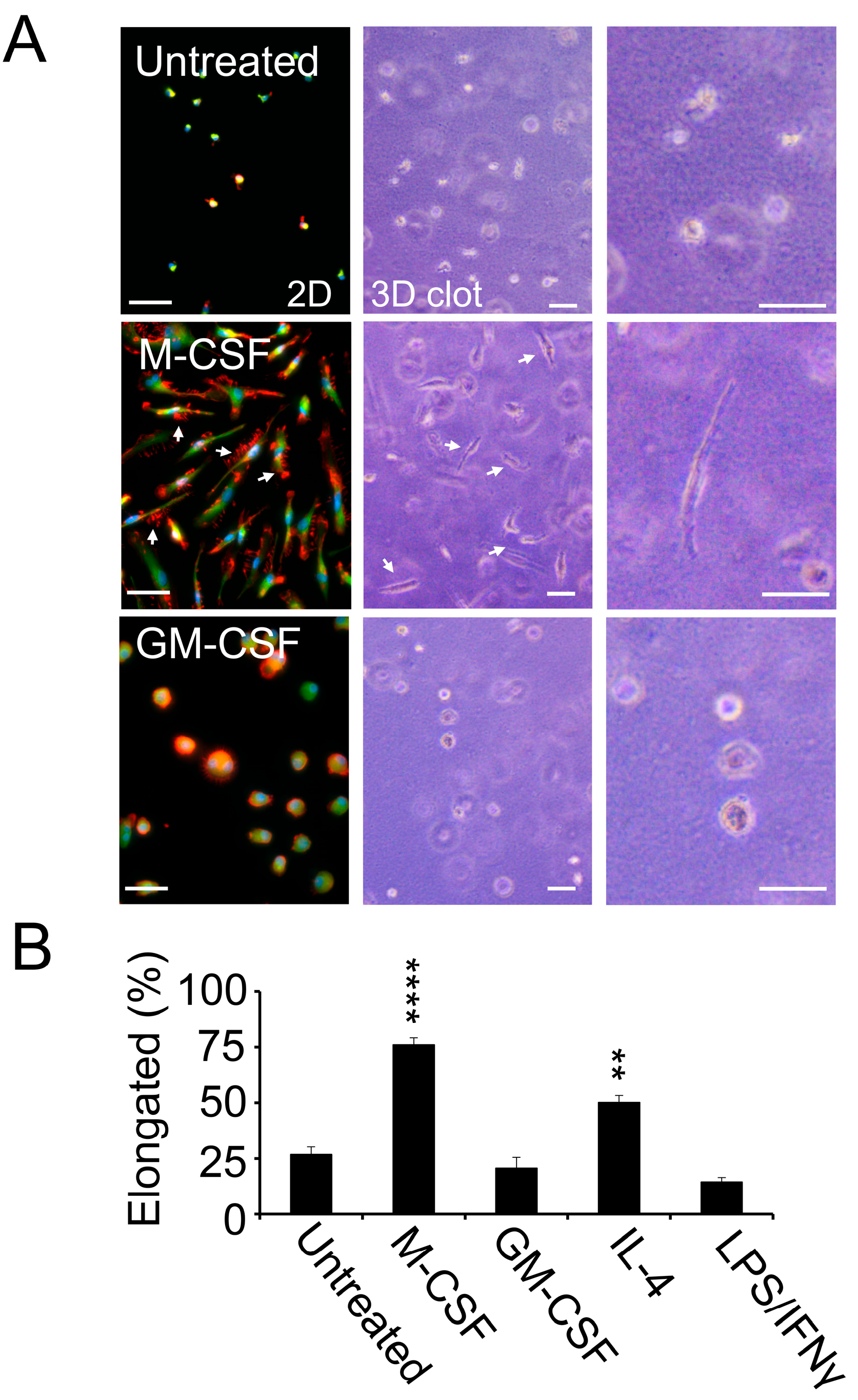 Cancers 17 03780 g003 Cancers 17 03780 g003
