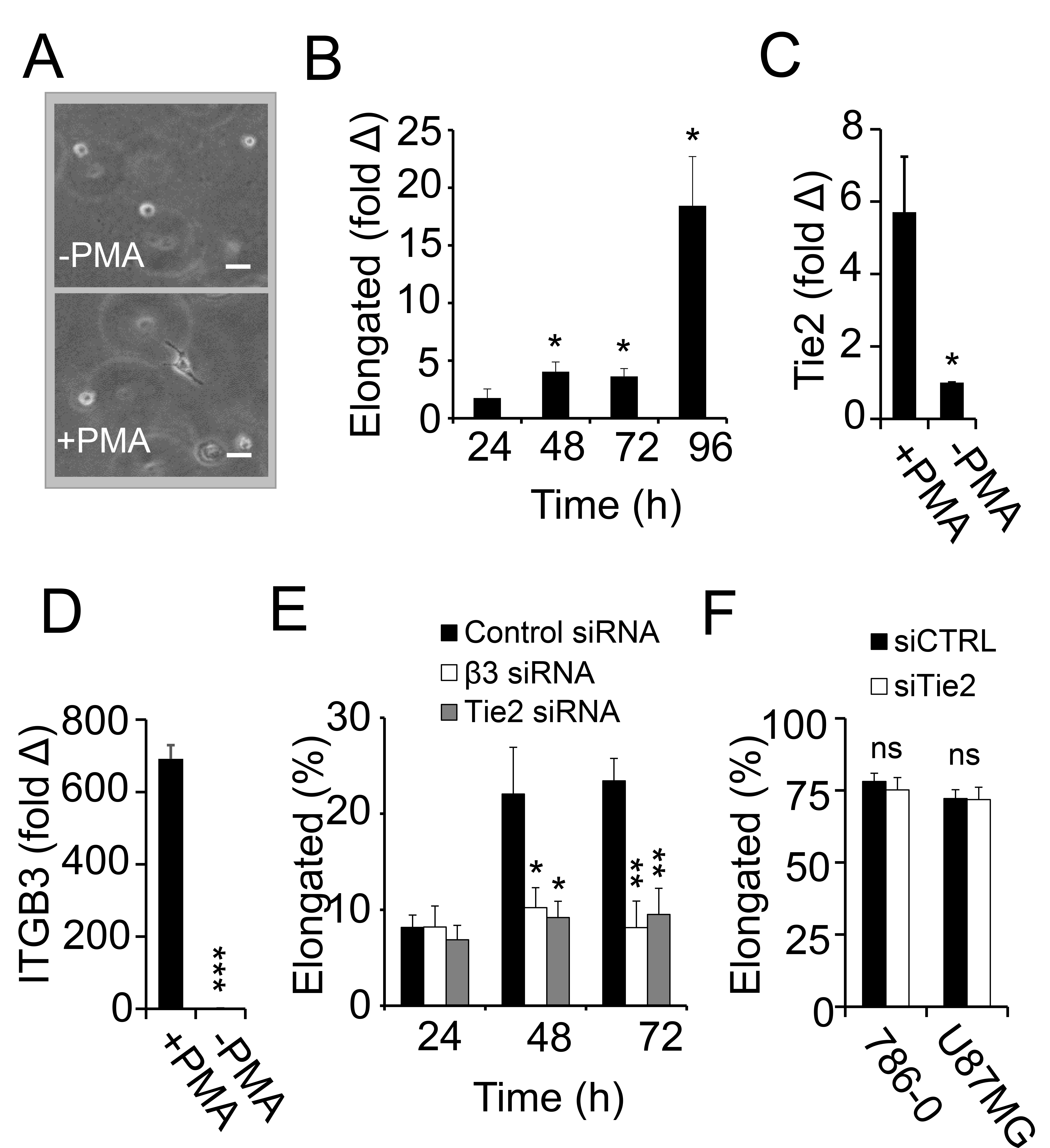 Cancers 17 03780 g005 Cancers 17 03780 g005