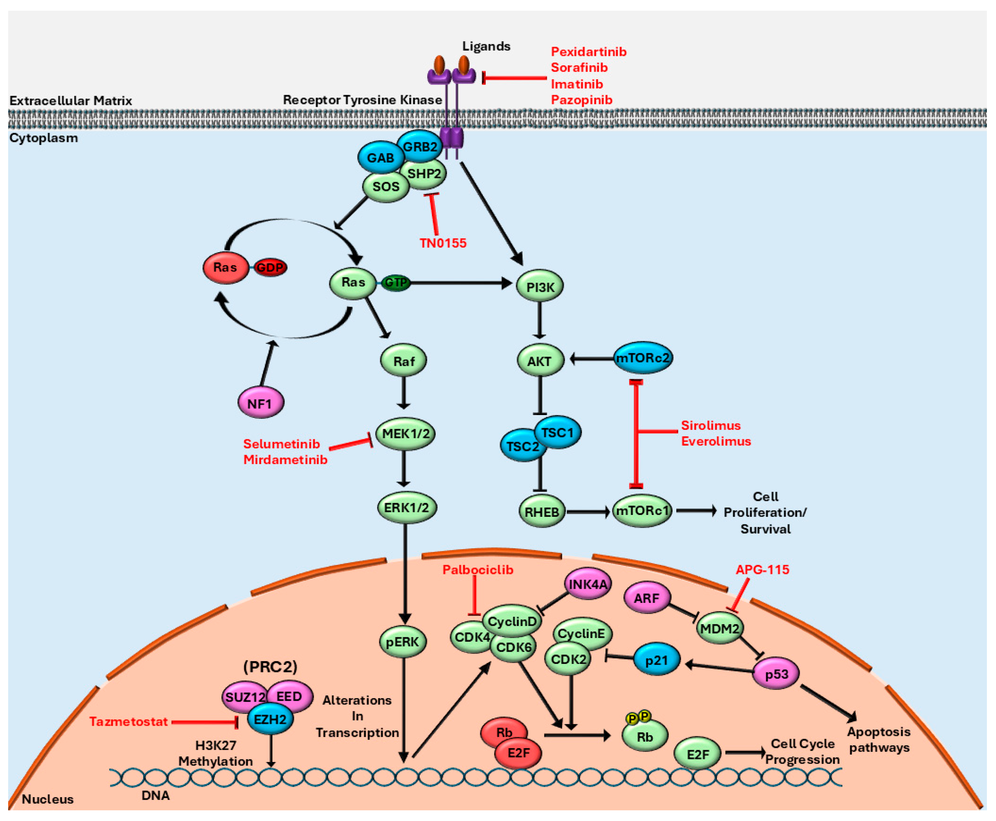 Cancers 17 03781 g001