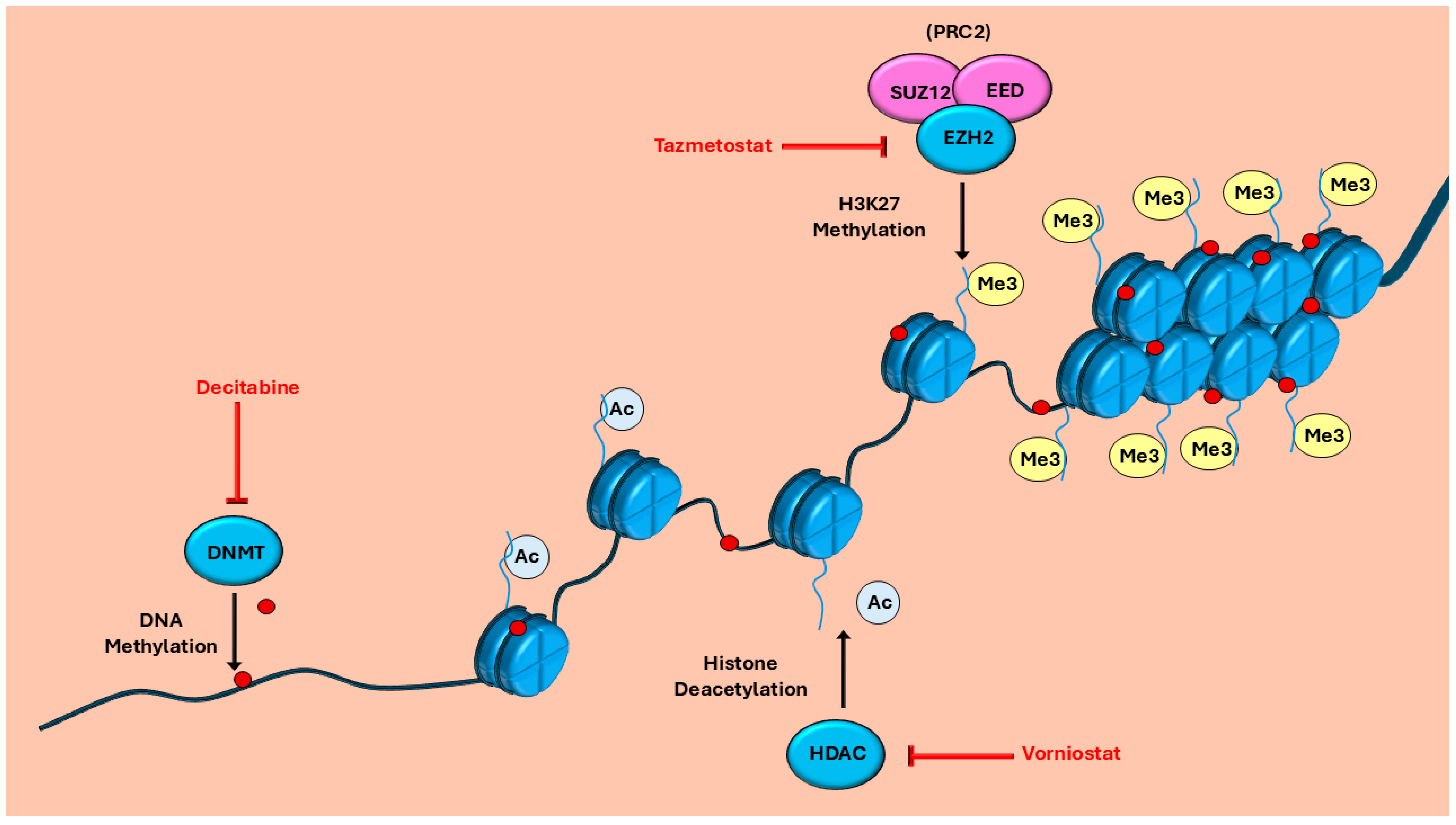 Cancers 17 03781 g002