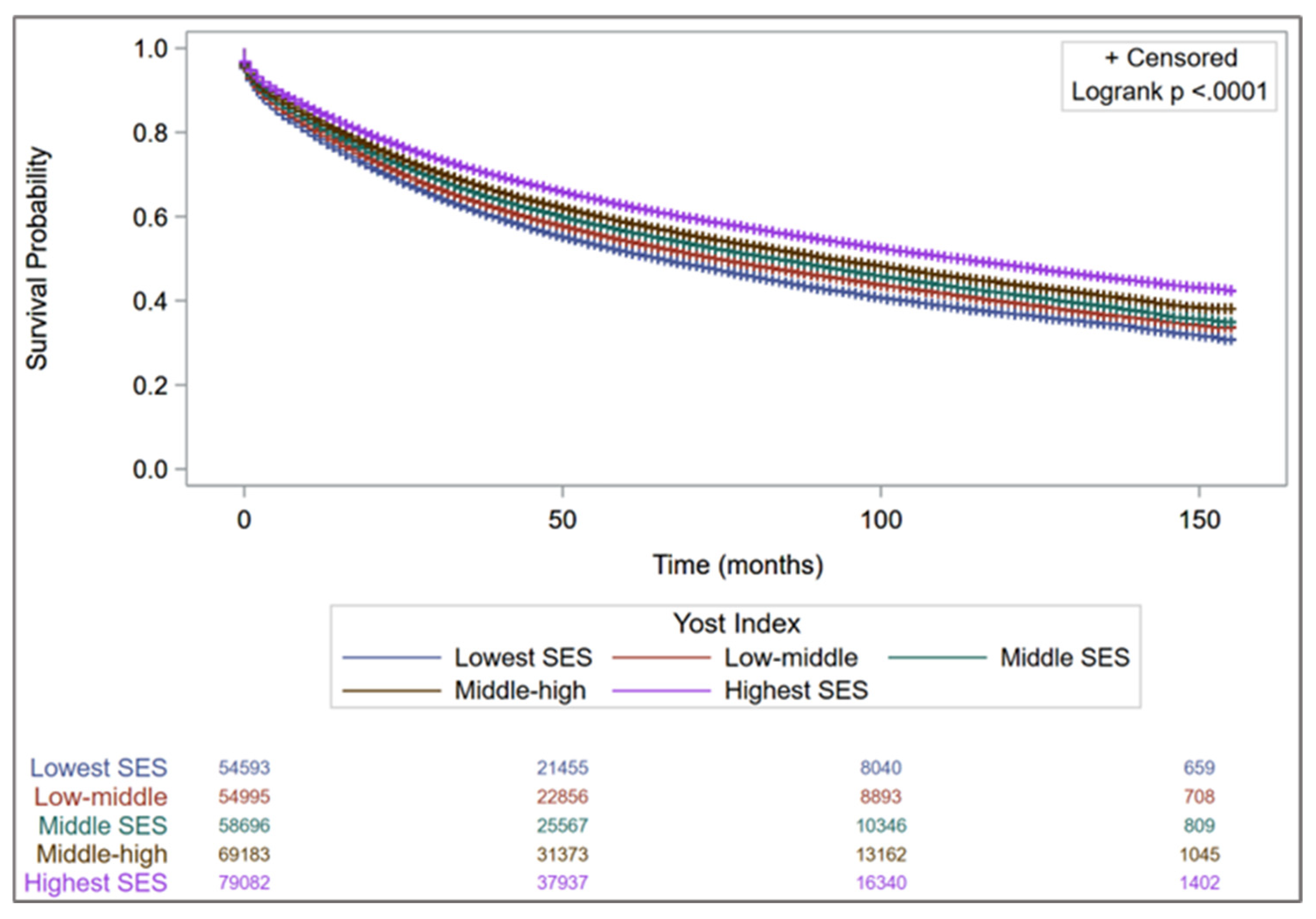 Cancers 17 03782 g001