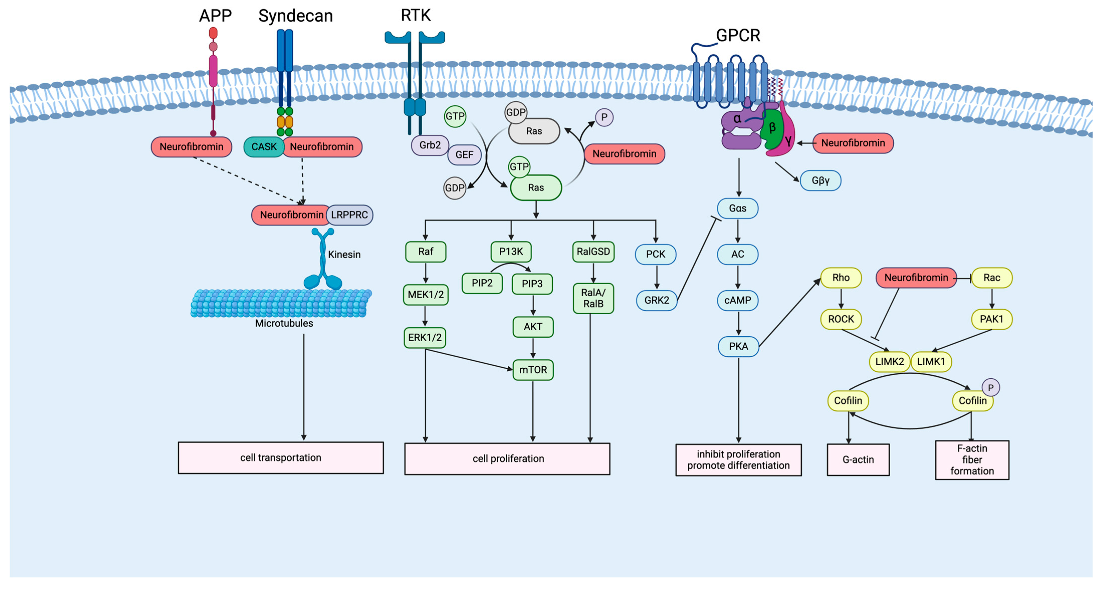 Cancers 17 03788 g001