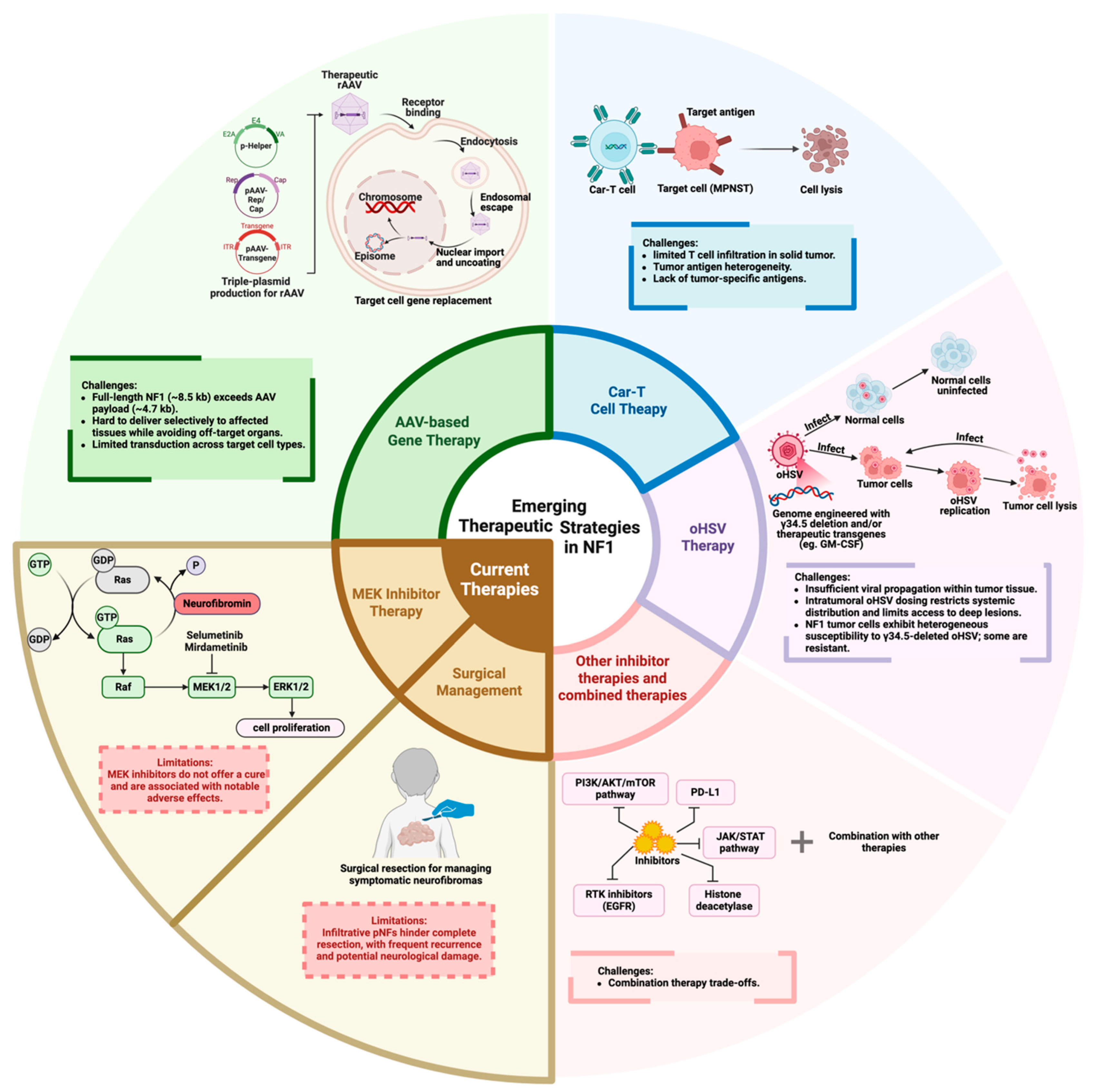 Cancers 17 03788 g002