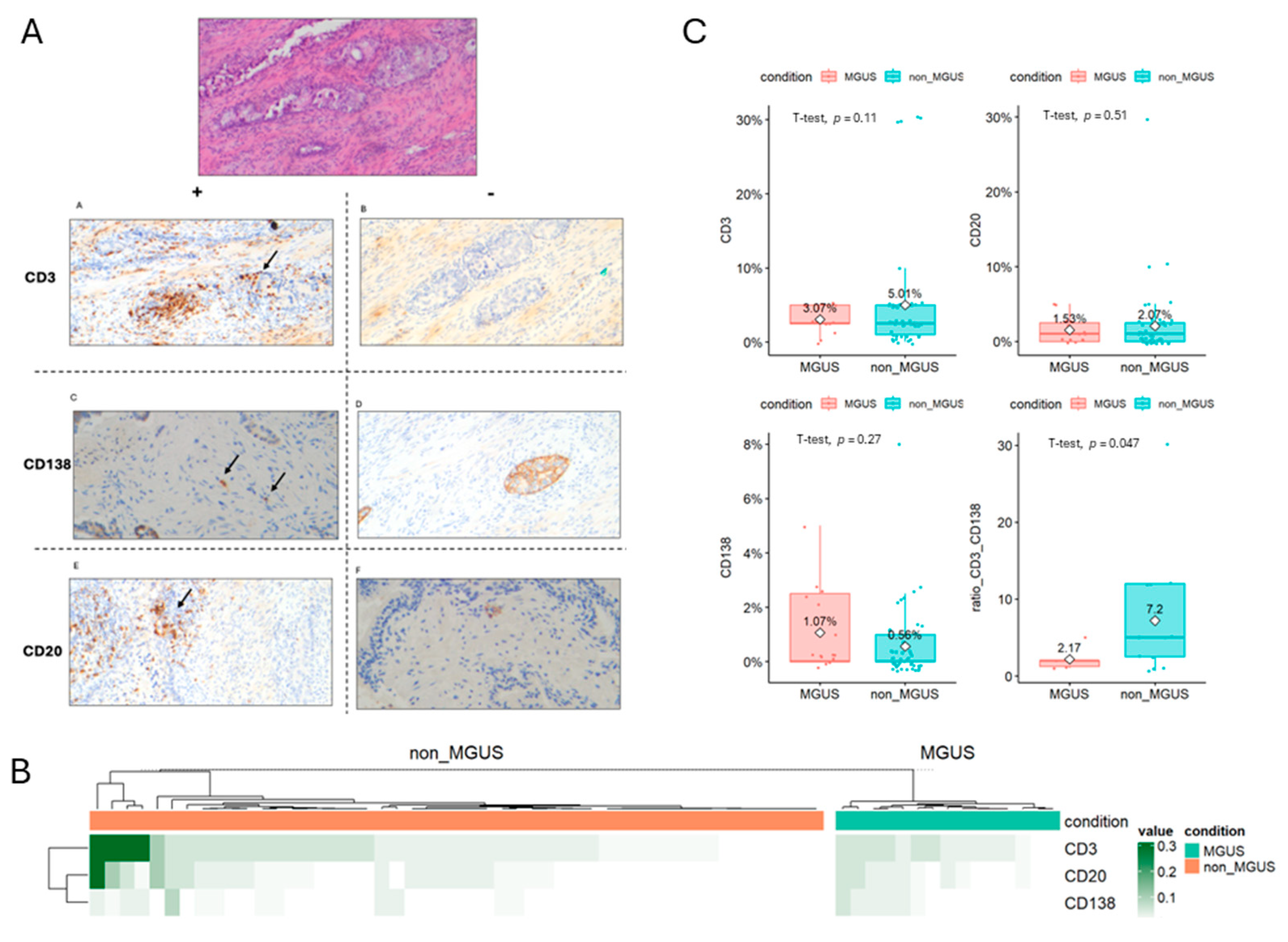 Cancers 17 03790 g003