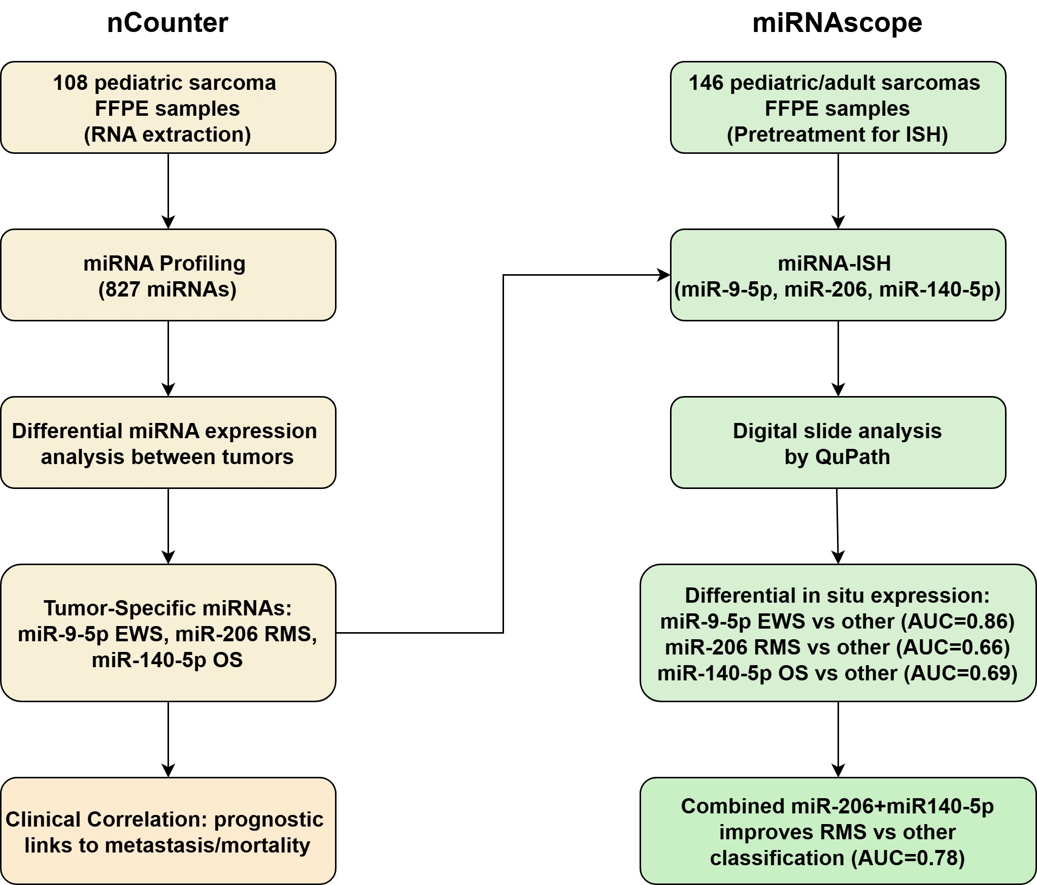 Cancers 17 03791 g001